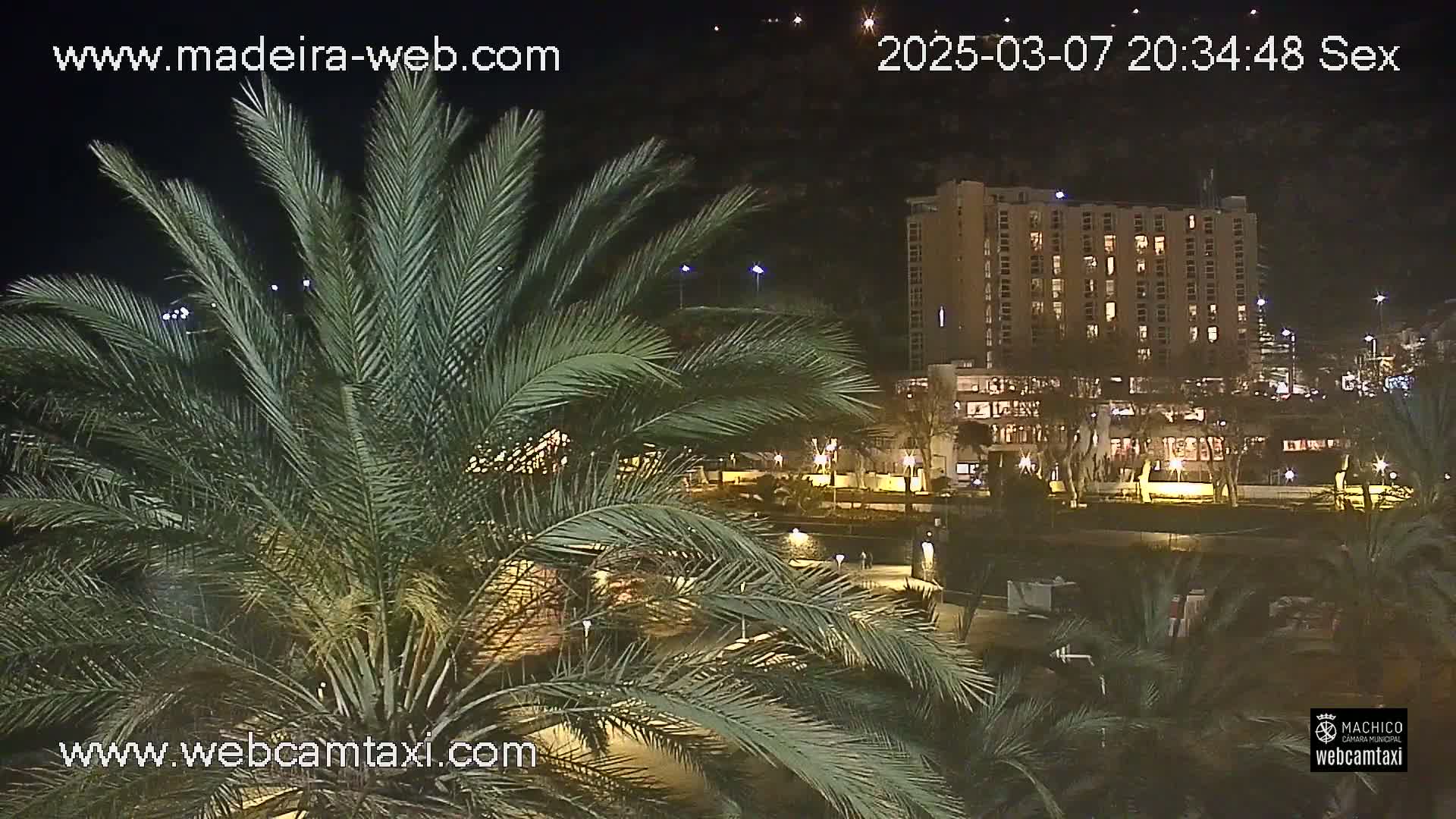 A nighttime view shows palm trees in the foreground obscuring a view of a multi-story hotel and other buildings along a waterfront.