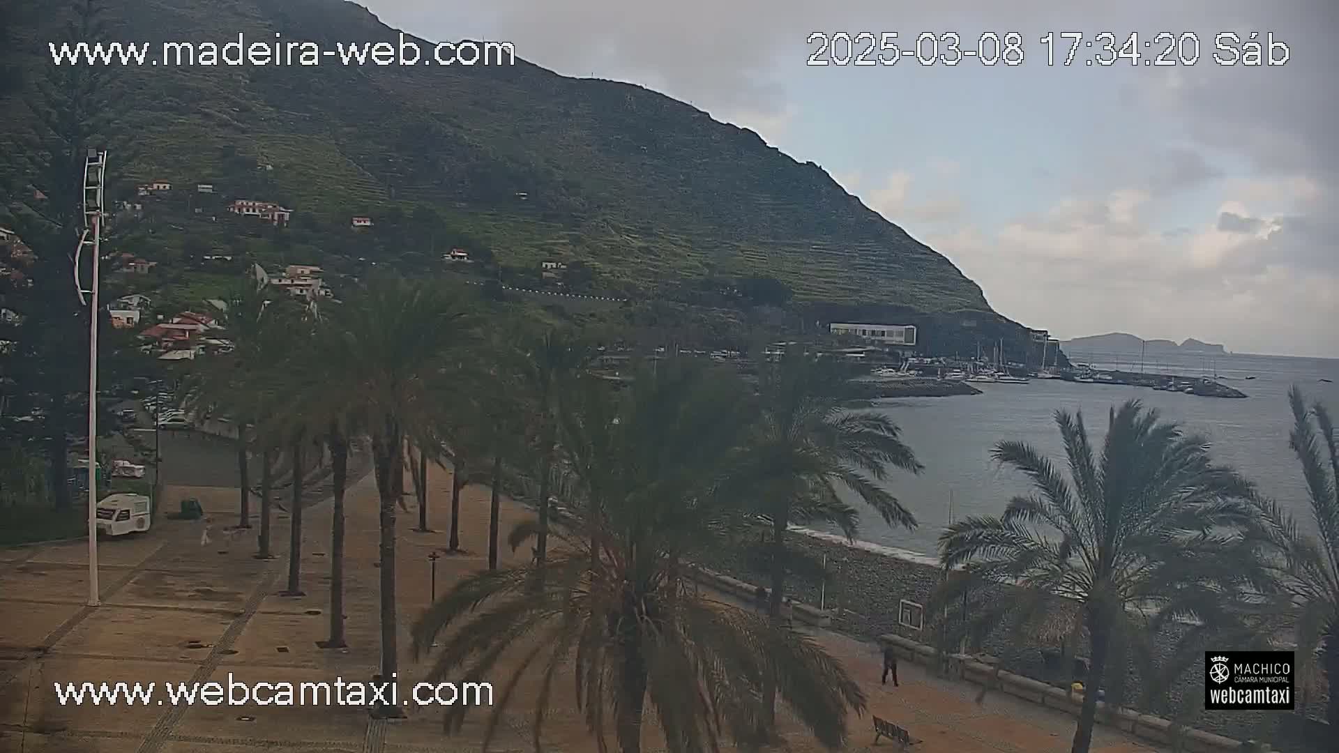 A partly cloudy day reveals a coastal town nestled at the foot of a steep, terraced hillside, with palm trees lining a paved waterfront walkway next to a calm harbor filled with boats.