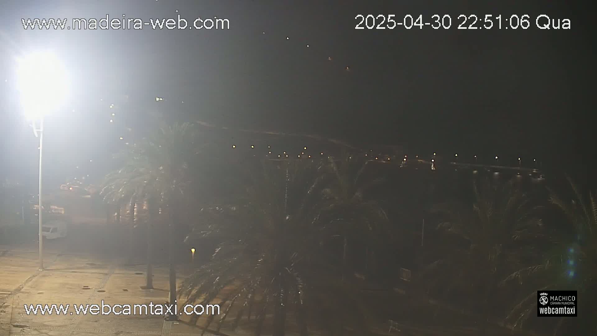 A hazy night scene shows palm trees and distant lights under a dark sky.