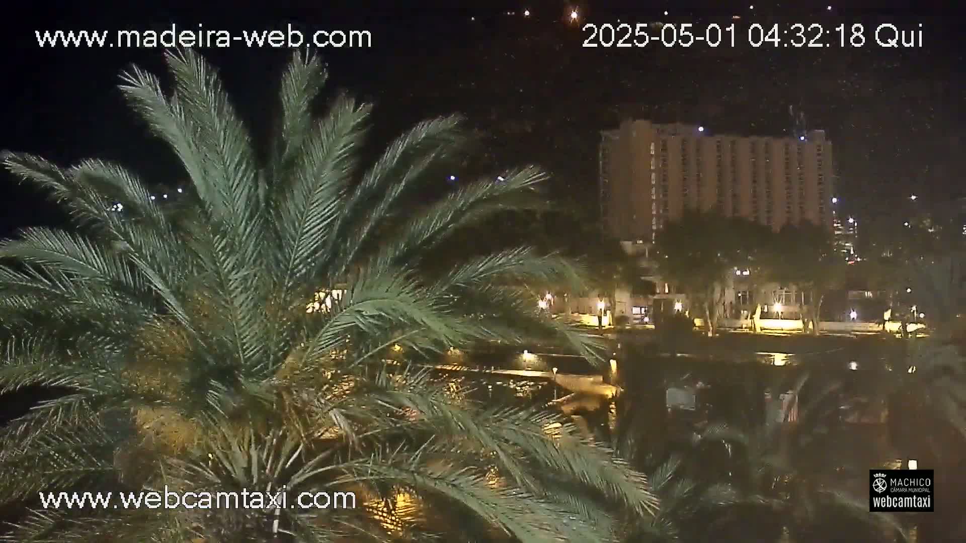 A nighttime view from behind palm trees shows a body of water and a tall, illuminated building in the distance.