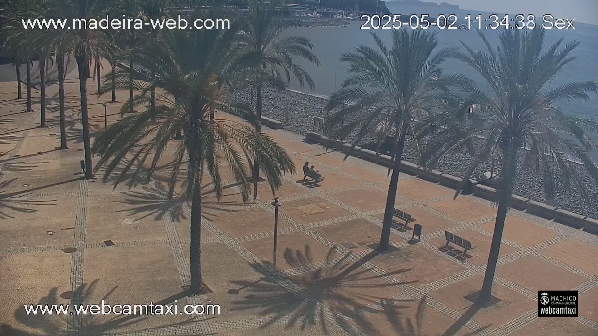 A paved plaza lined with palm trees overlooks a calm ocean on a sunny day, with two people sitting on a bench.