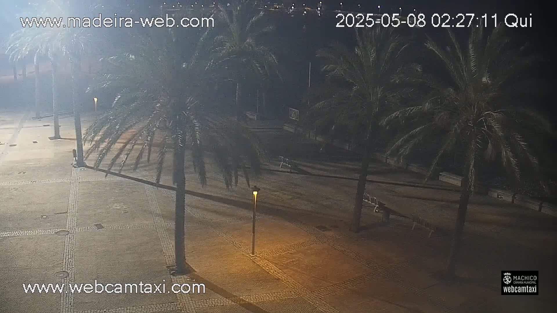 A nighttime, hazy view of a paved plaza with palm trees and lampposts.