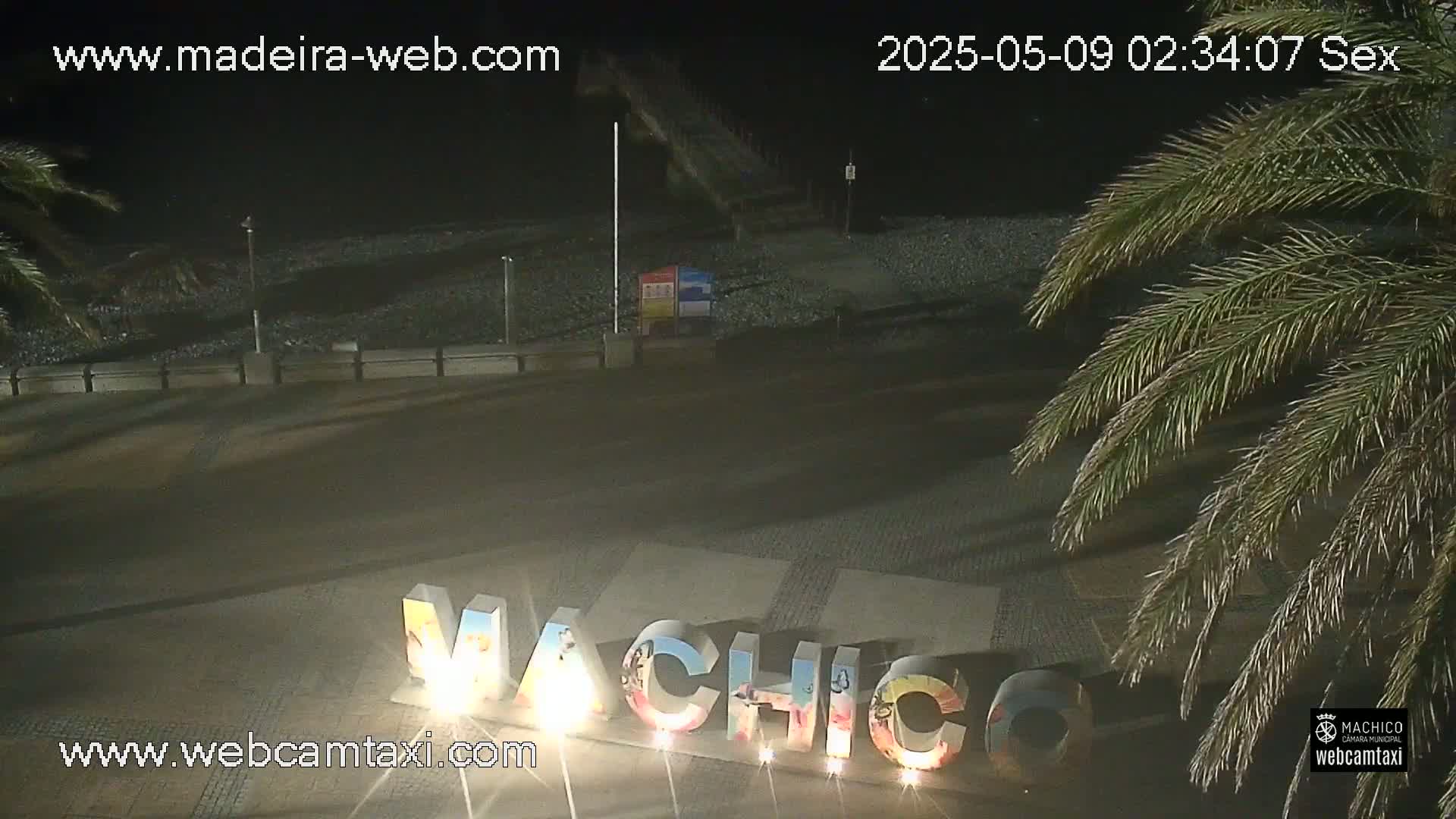 At night, illuminated letters spelling out a place name sit on a paved area next to a dark beach, partially obscured by palm fronds.