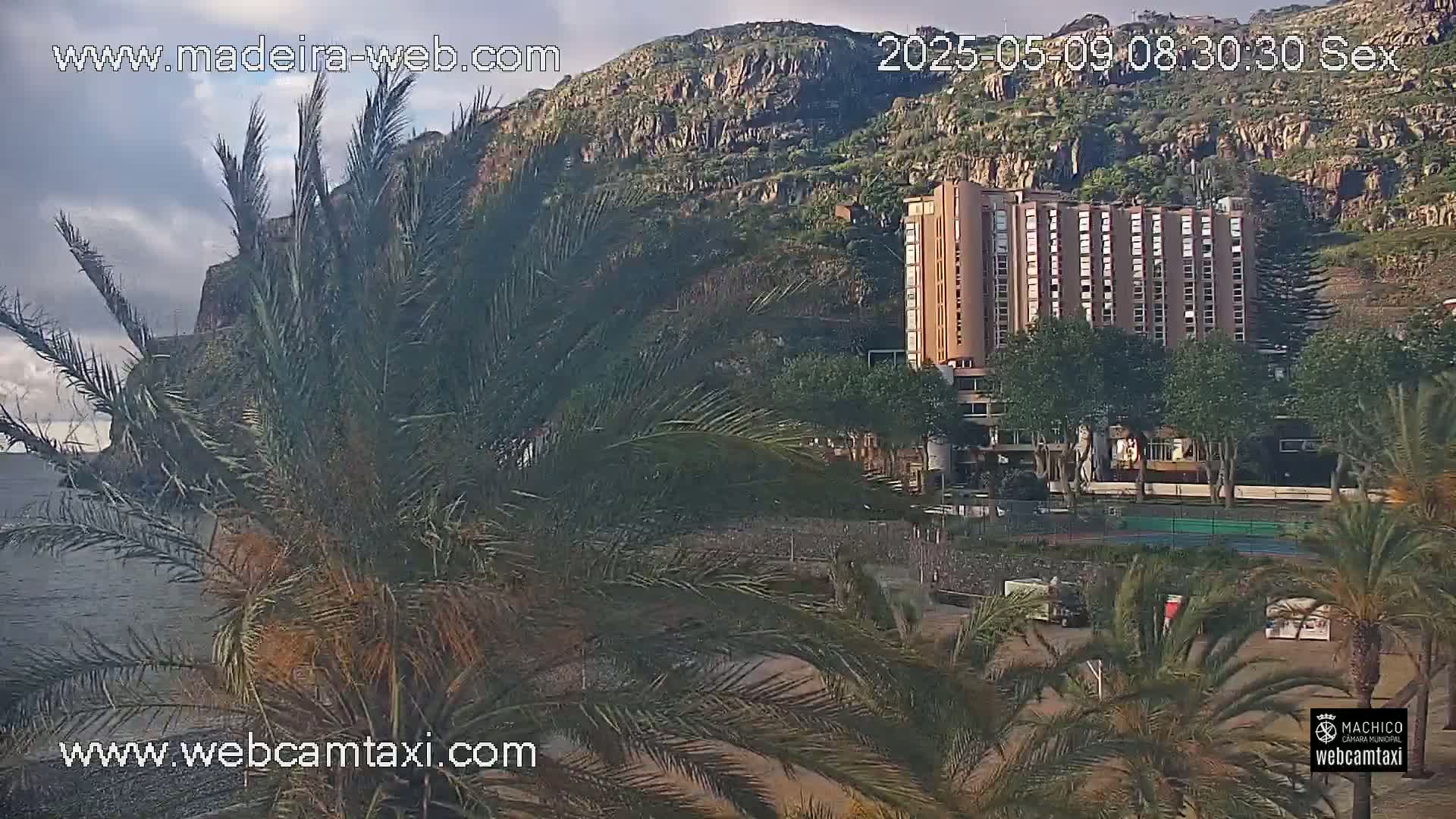 A multi-story building sits near a rocky hillside overlooking a calm ocean, partially obscured by palm trees under a partly cloudy sky.