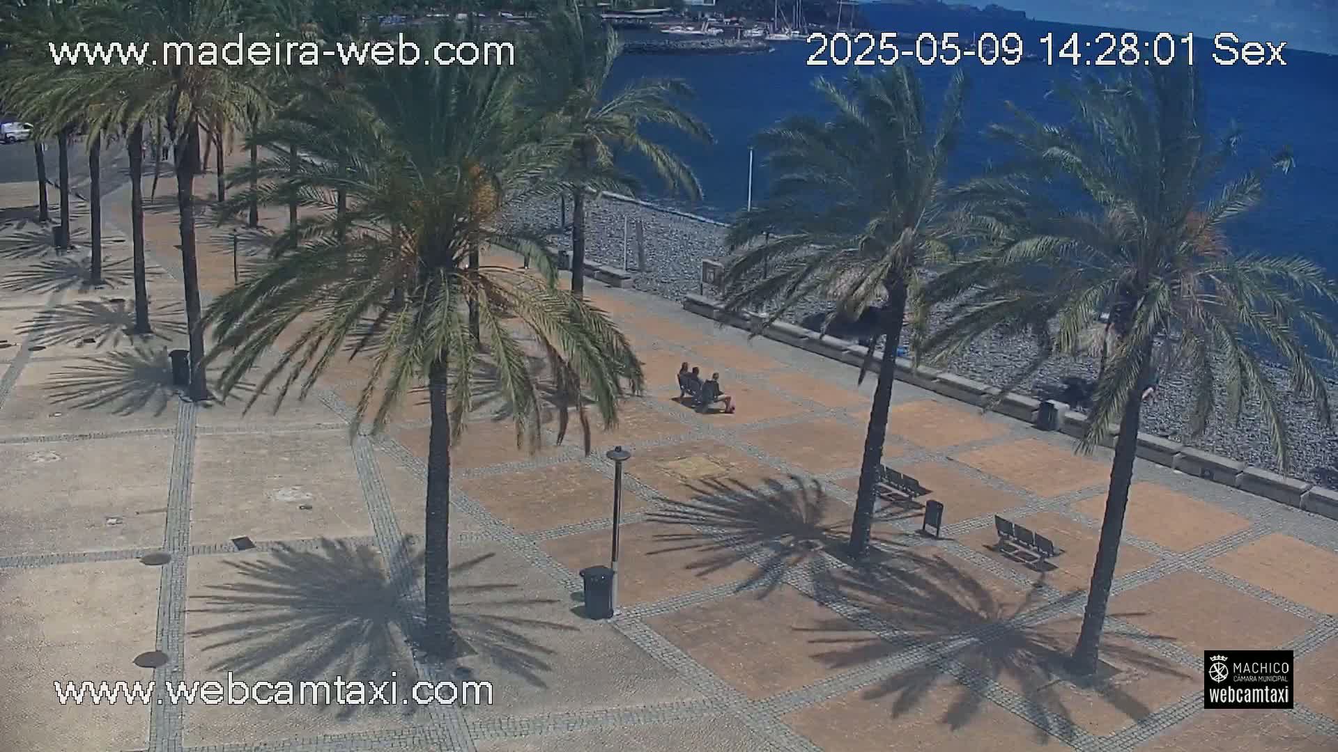 A sunny outdoor scene shows a paved plaza with palm trees casting shadows, benches, and a few people sitting near a rocky shoreline and ocean.