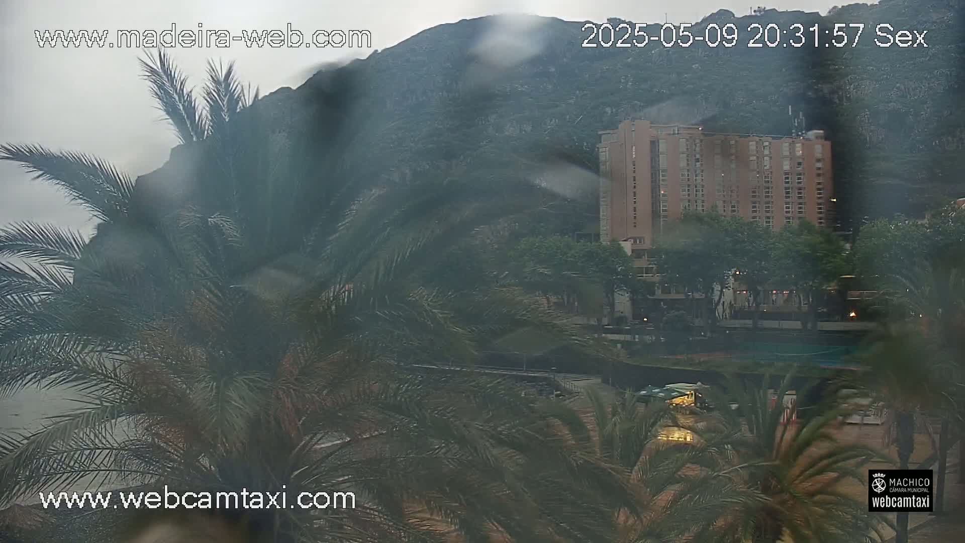 A rain-swept view shows palm trees in the foreground, obscuring a partially visible multi-story building and a mountainside in the background.