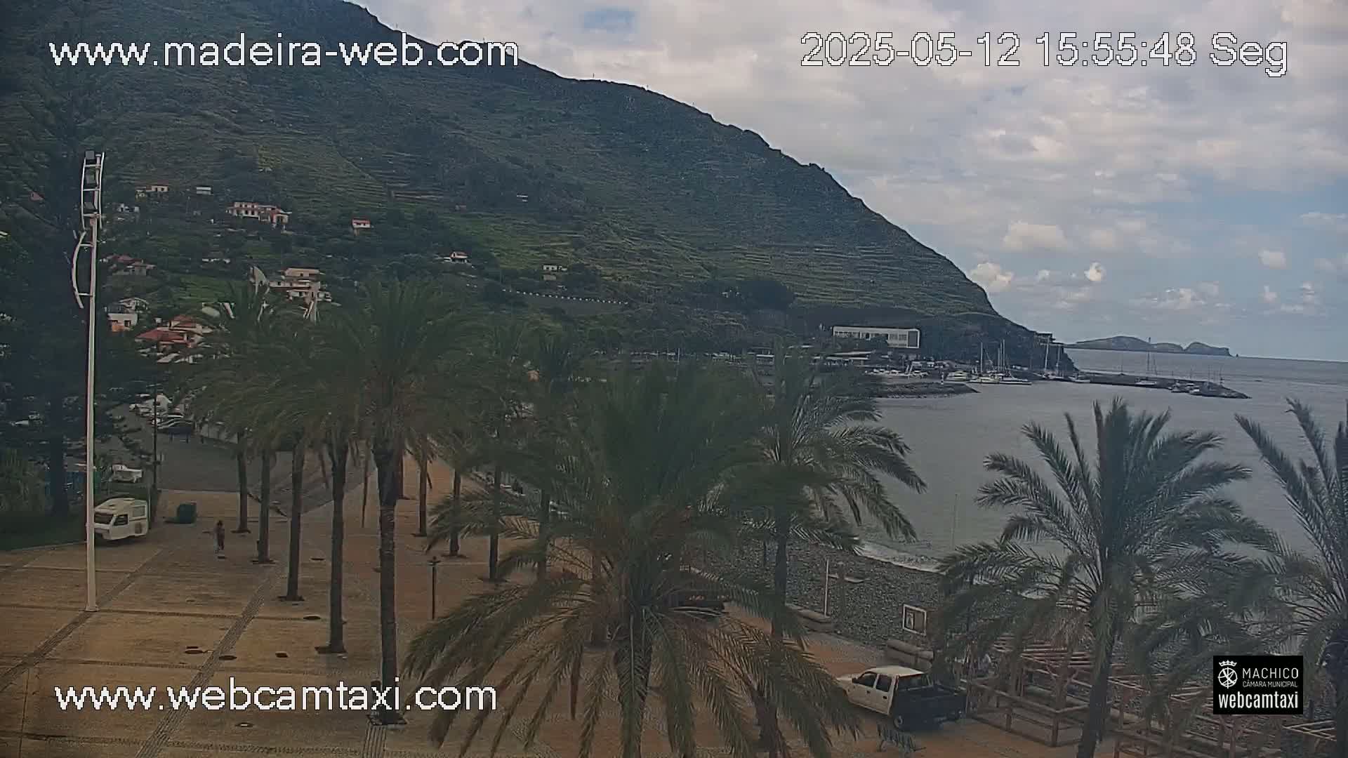 A coastal town with palm trees lining a promenade, overlooking a calm harbor and a mountainous backdrop under partly cloudy skies.