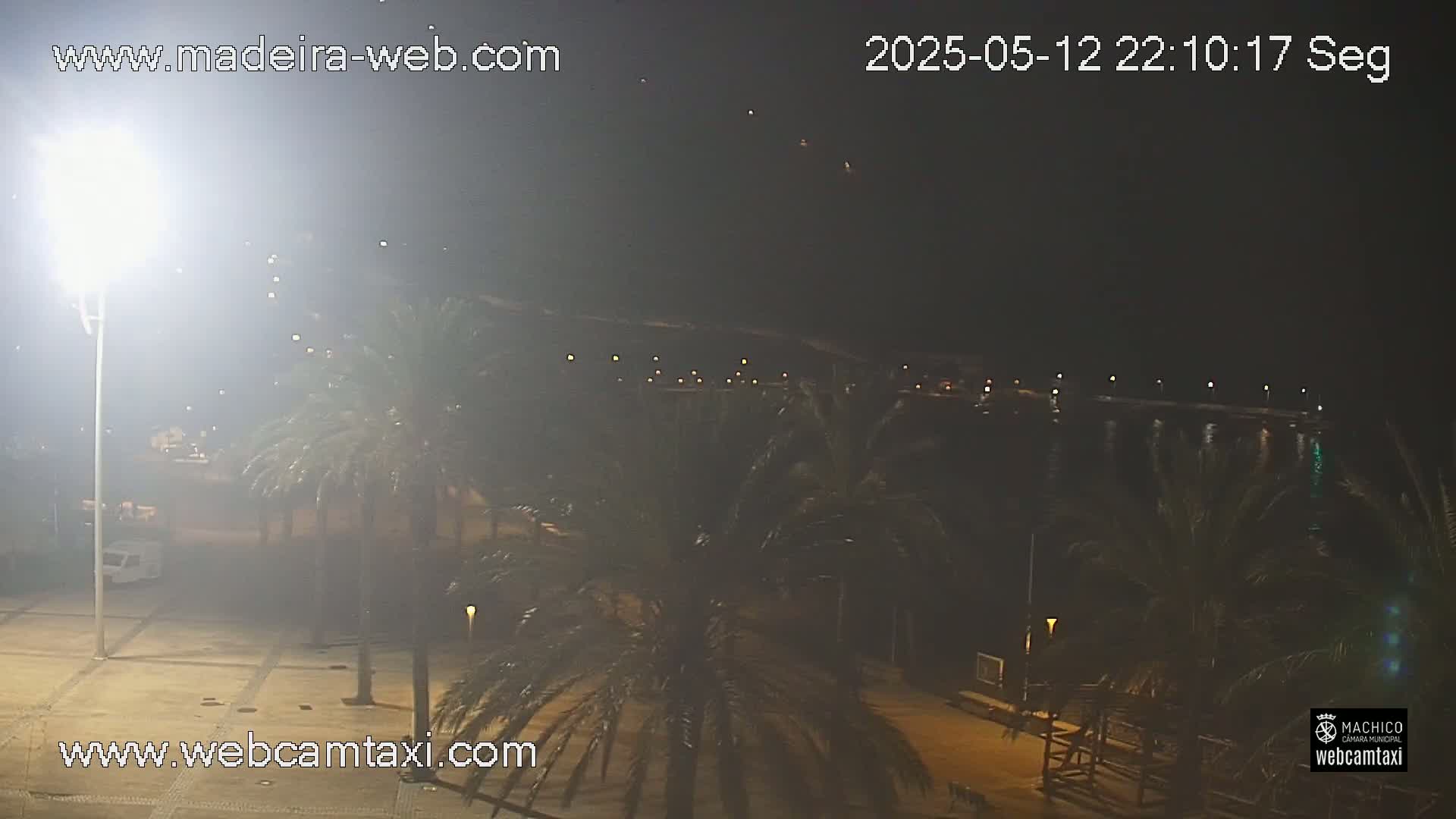 A nighttime view of a waterfront area with palm trees lining a paved walkway, and a body of water visible in the background under a hazy sky.