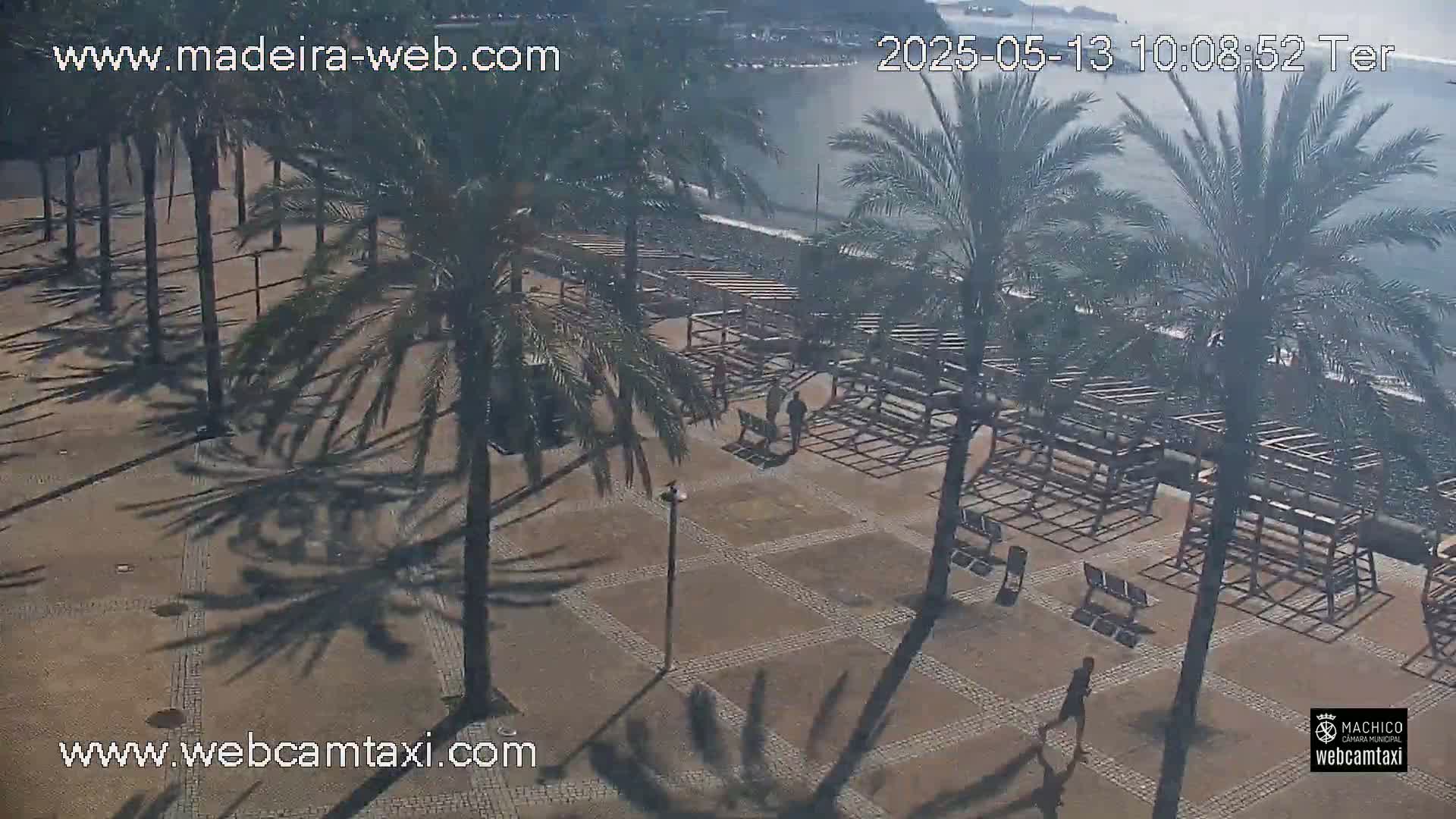 A paved plaza with palm trees and empty benches overlooks a calm ocean under a sunny sky.