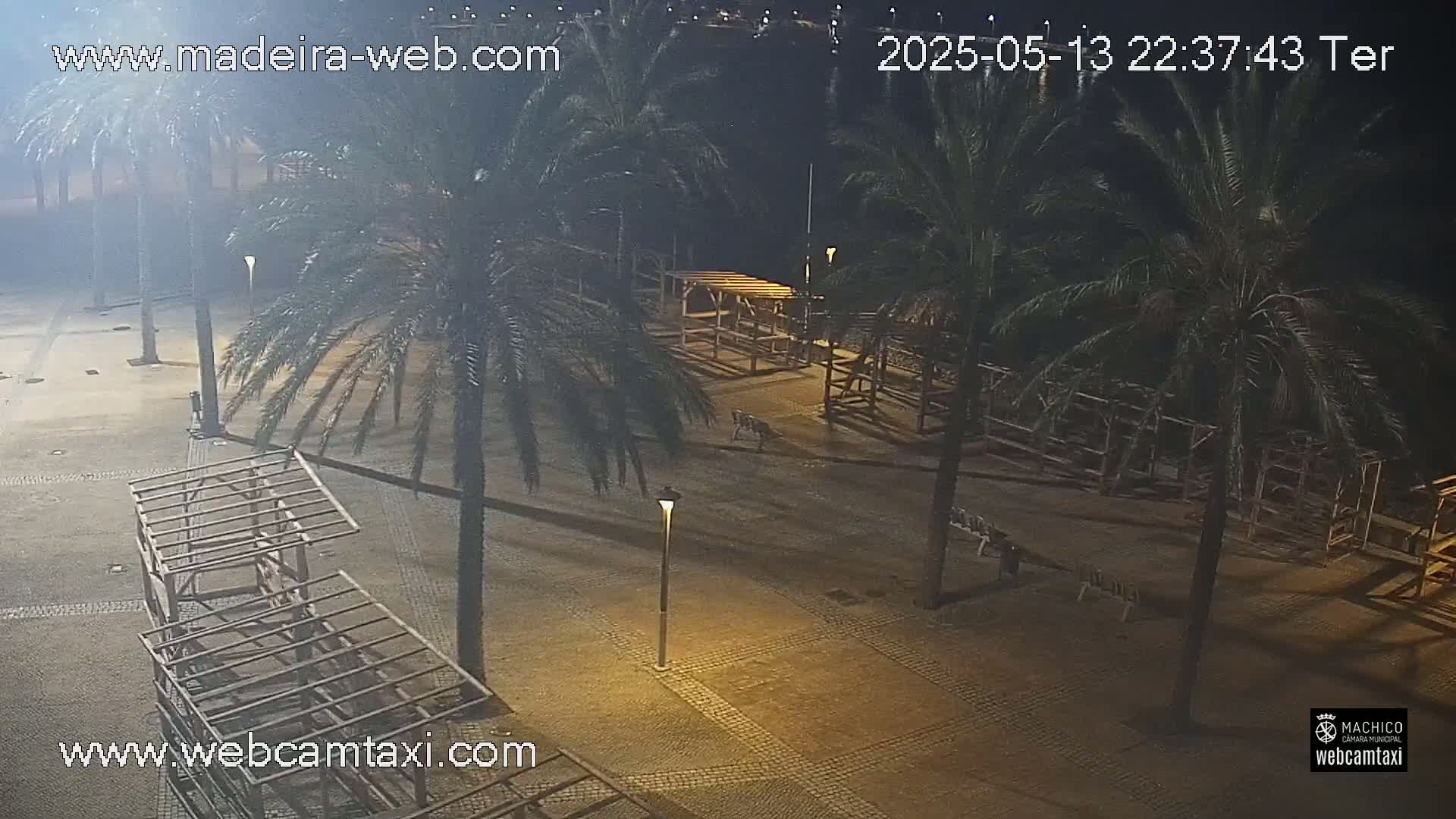 A nighttime view of a paved area with palm trees and empty wooden structures, illuminated by streetlights.