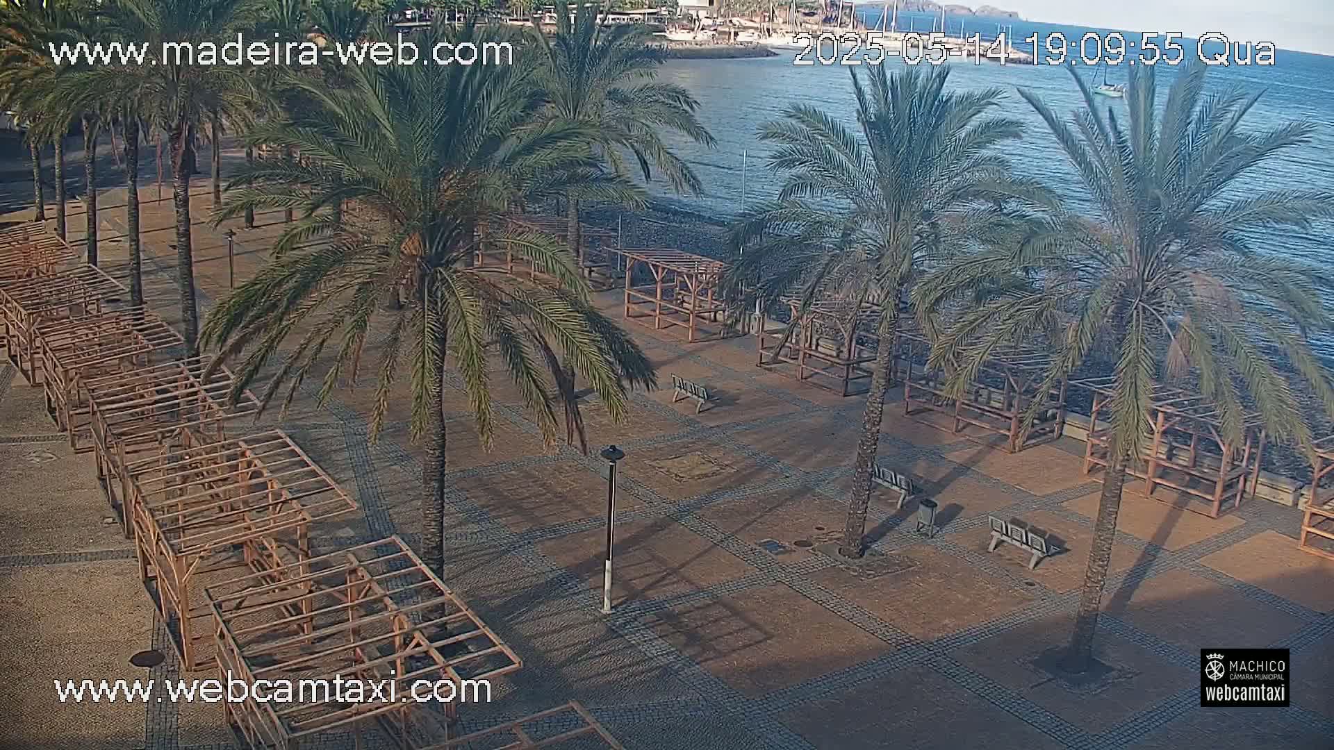 A paved plaza with numerous palm trees and empty wooden structures sits beside a calm ocean under a clear sky.