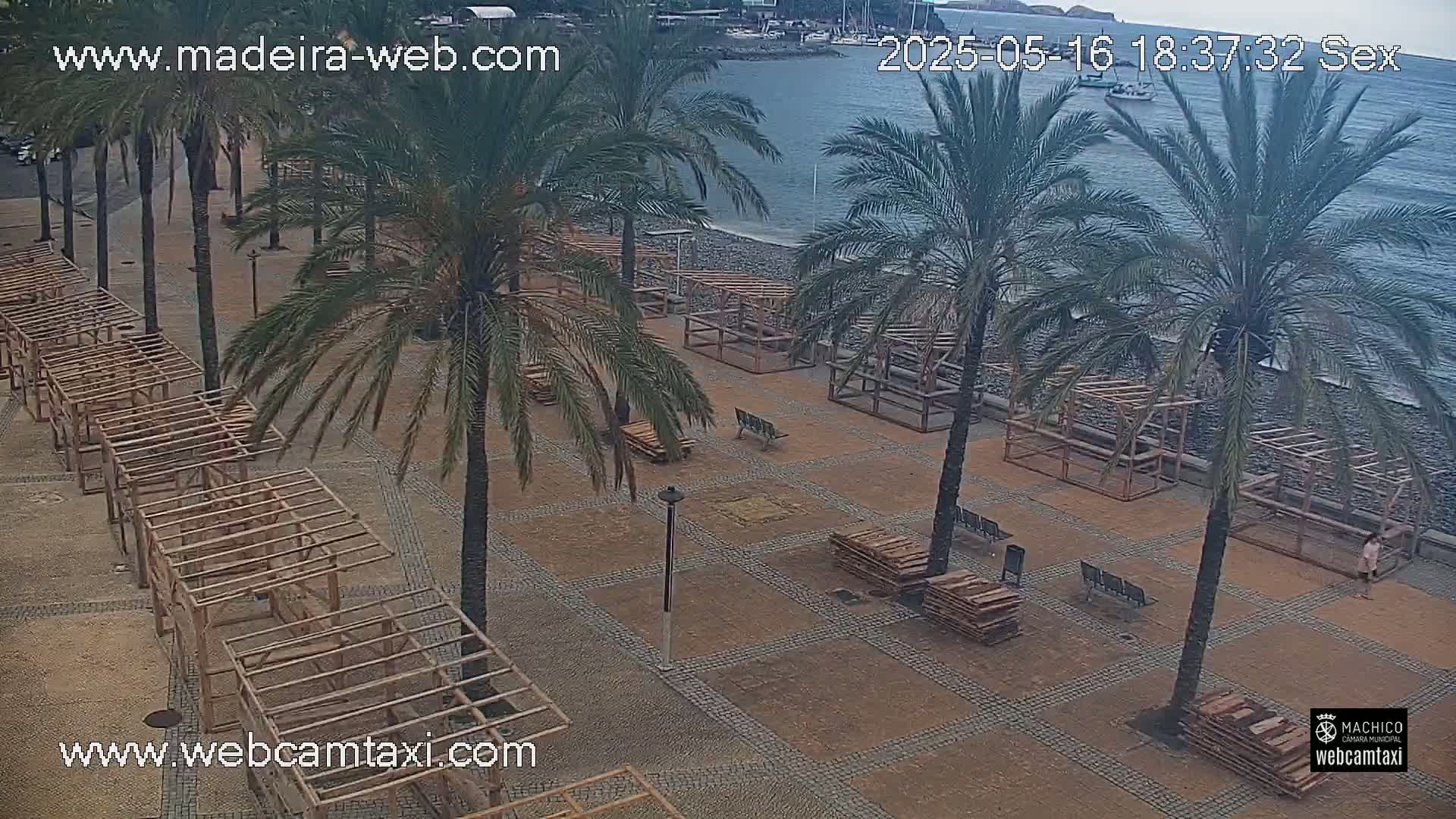 A seaside plaza with palm trees and numerous unfinished wooden structures under an overcast sky.