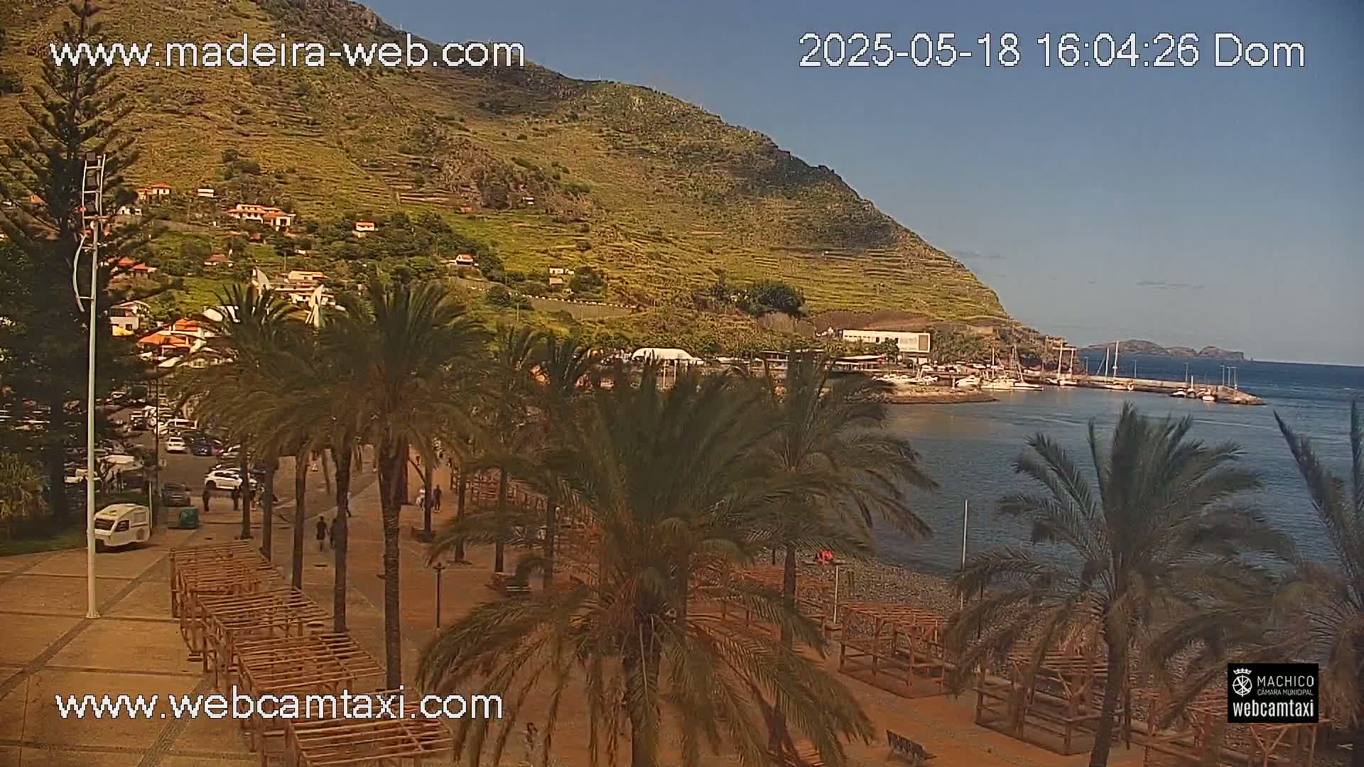 A seaside town nestled against a hillside, under a clear sky, features palm trees lining a promenade overlooking a calm harbor with boats.