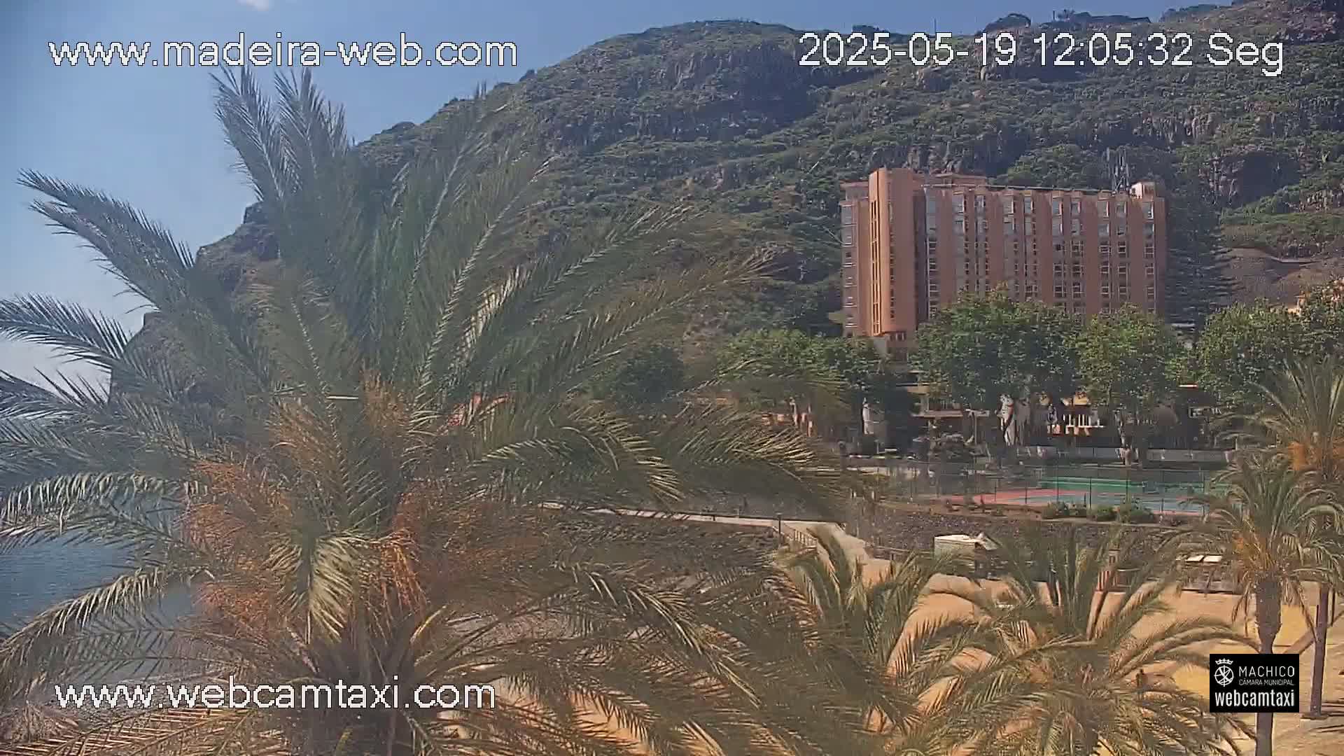 A sunny view shows palm trees in the foreground, a multi-story building and a rocky hill in the background near a sandy area.