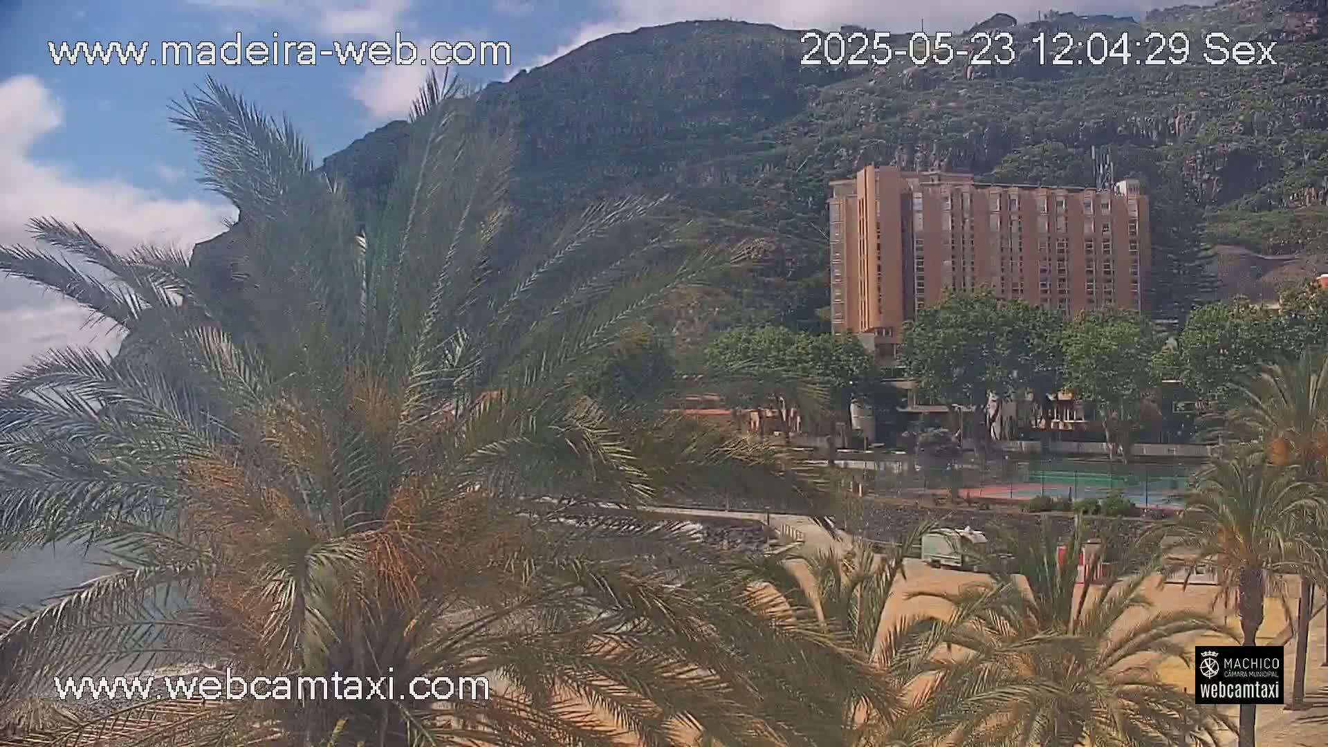 Palm trees partially obscure a view of a multi-story building near a beach on a partly cloudy day.