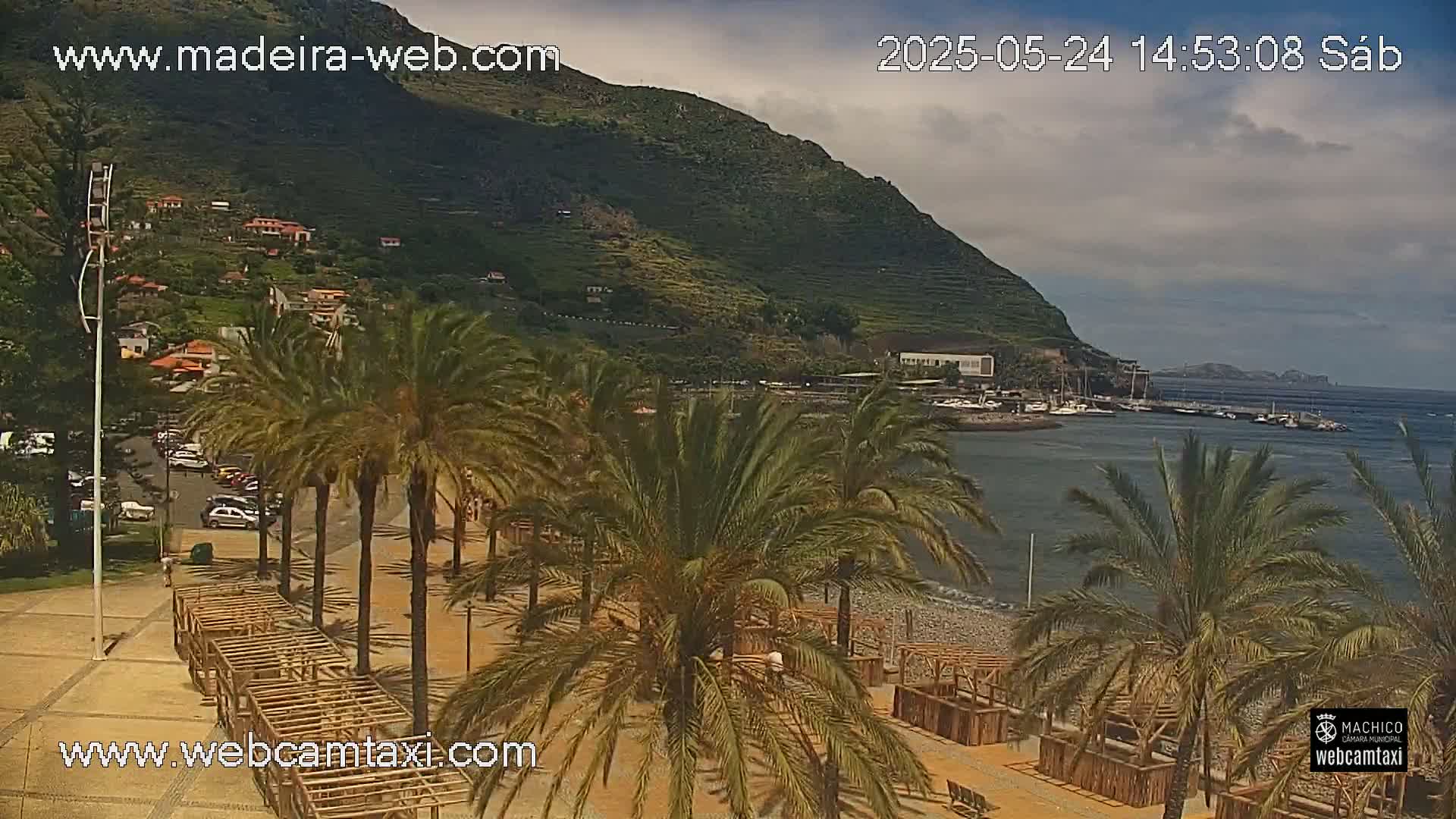 A beach with palm trees, a paved walkway, and a calm body of water with boats, backed by a hillside town and a mountainous landscape under partly cloudy skies.