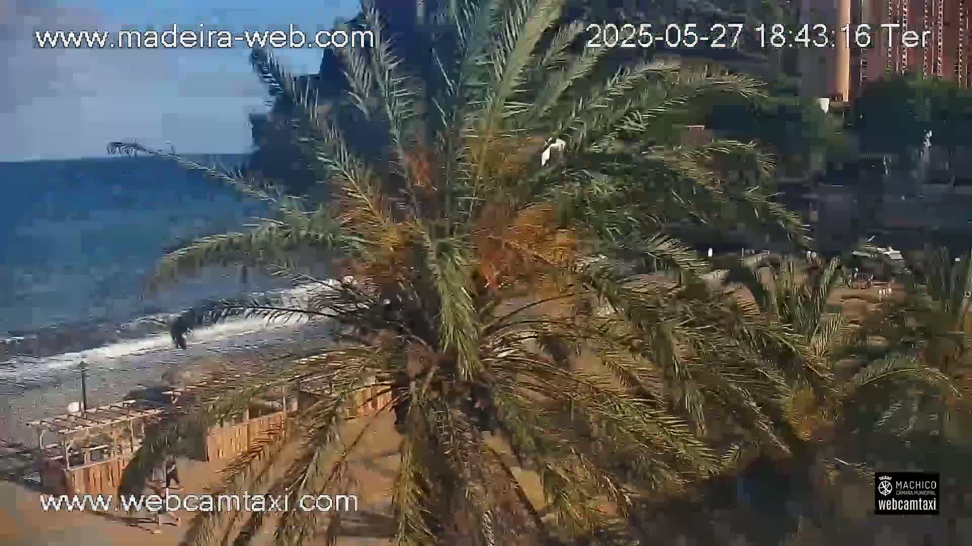 A view from above shows a sandy beach with gentle waves lapping the shore, palm trees in the foreground, and a building in the background under a sunny sky.