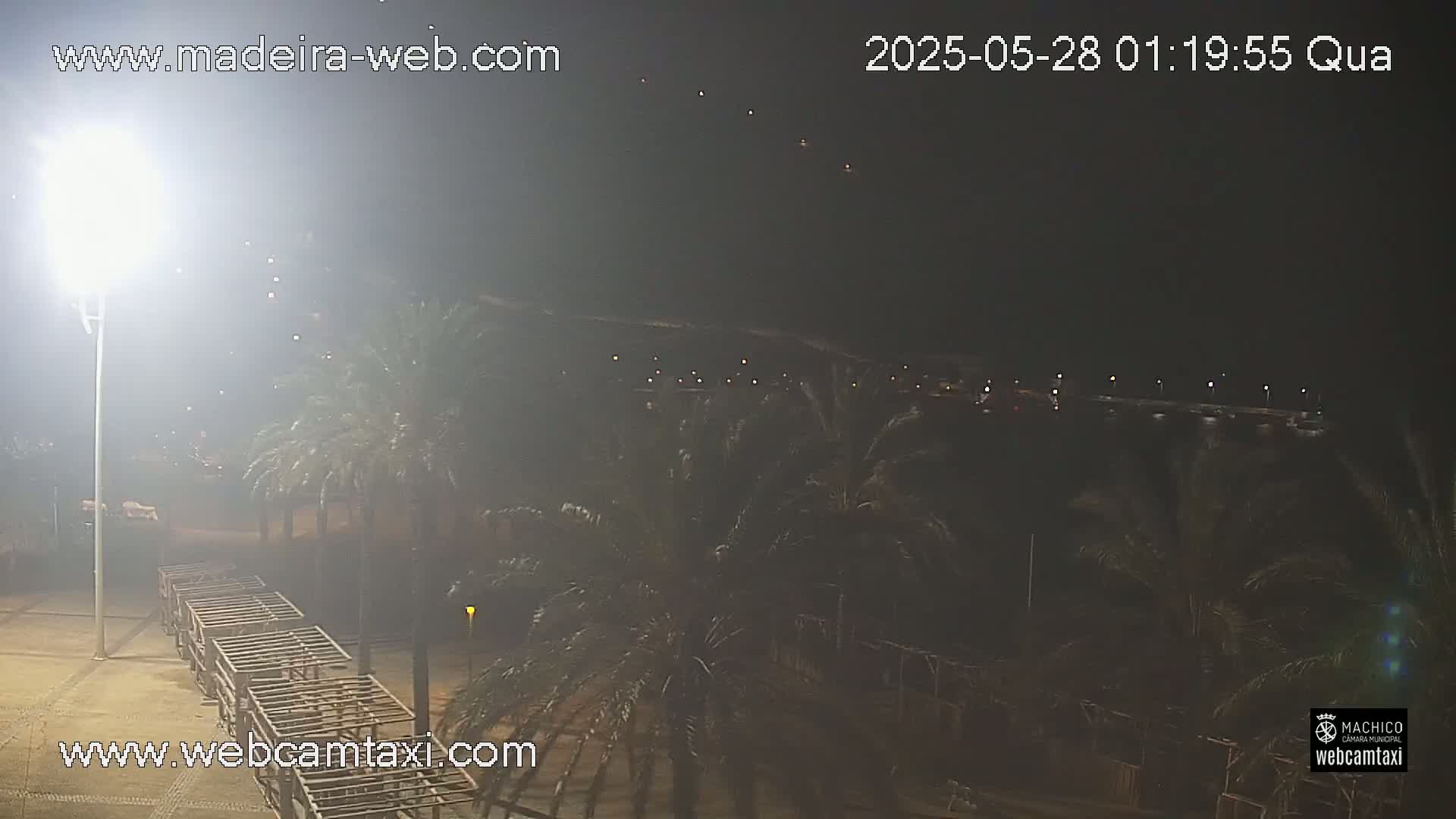 A nighttime, hazy view shows palm trees and a sandy area with several long, low structures under bright lights.