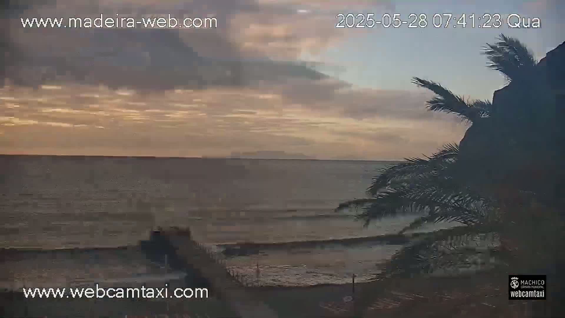 A calm ocean under a partly cloudy, dusky sky is viewed from a coastal vantage point, with palm trees in the foreground.