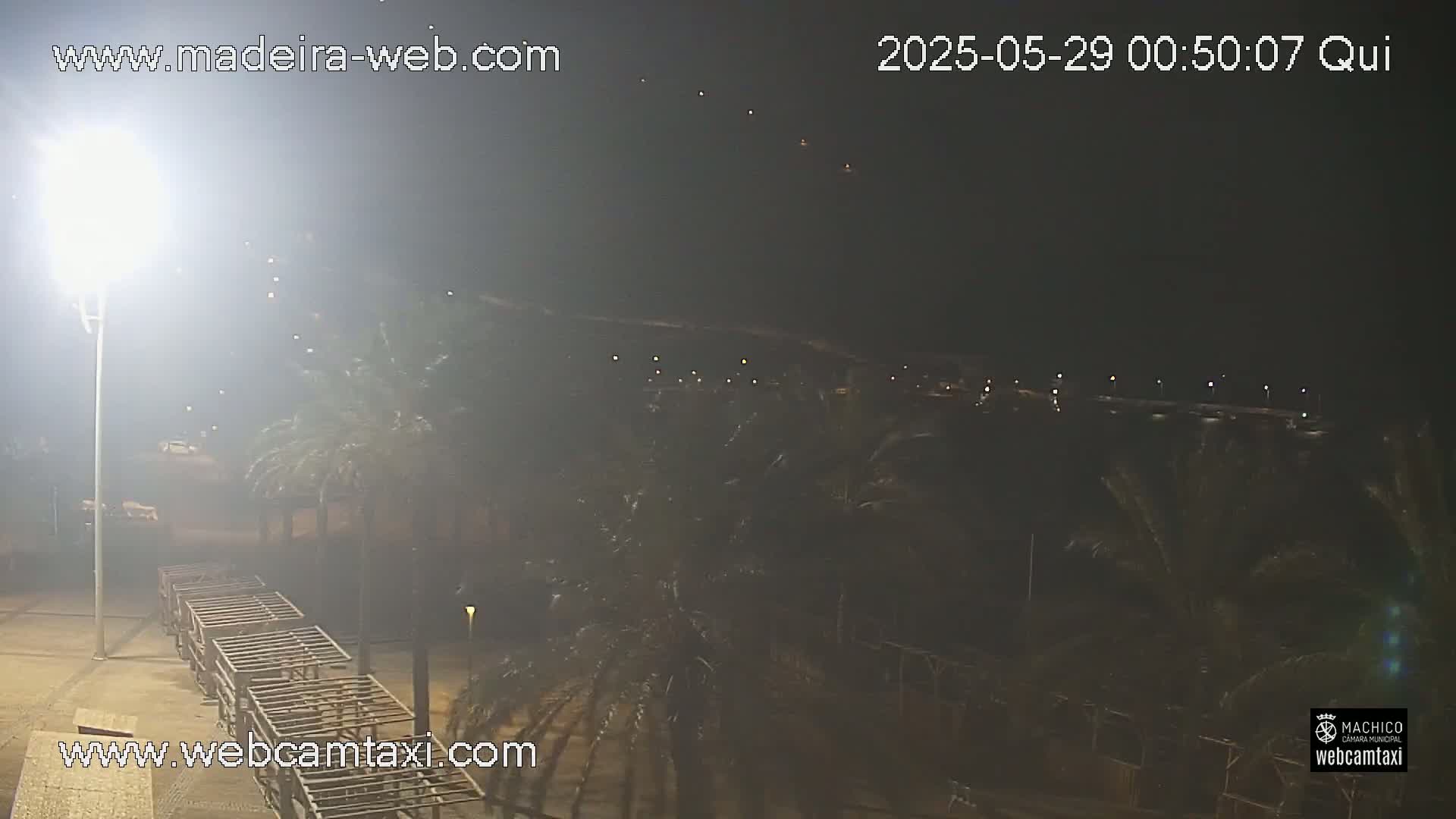 A nighttime view of palm trees and a paved area illuminated by a bright light, with a hazy atmosphere.