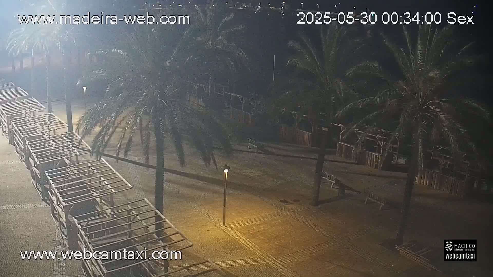 A nighttime outdoor scene shows a paved area with palm trees and several wooden structures, illuminated by a single lamppost under hazy conditions.