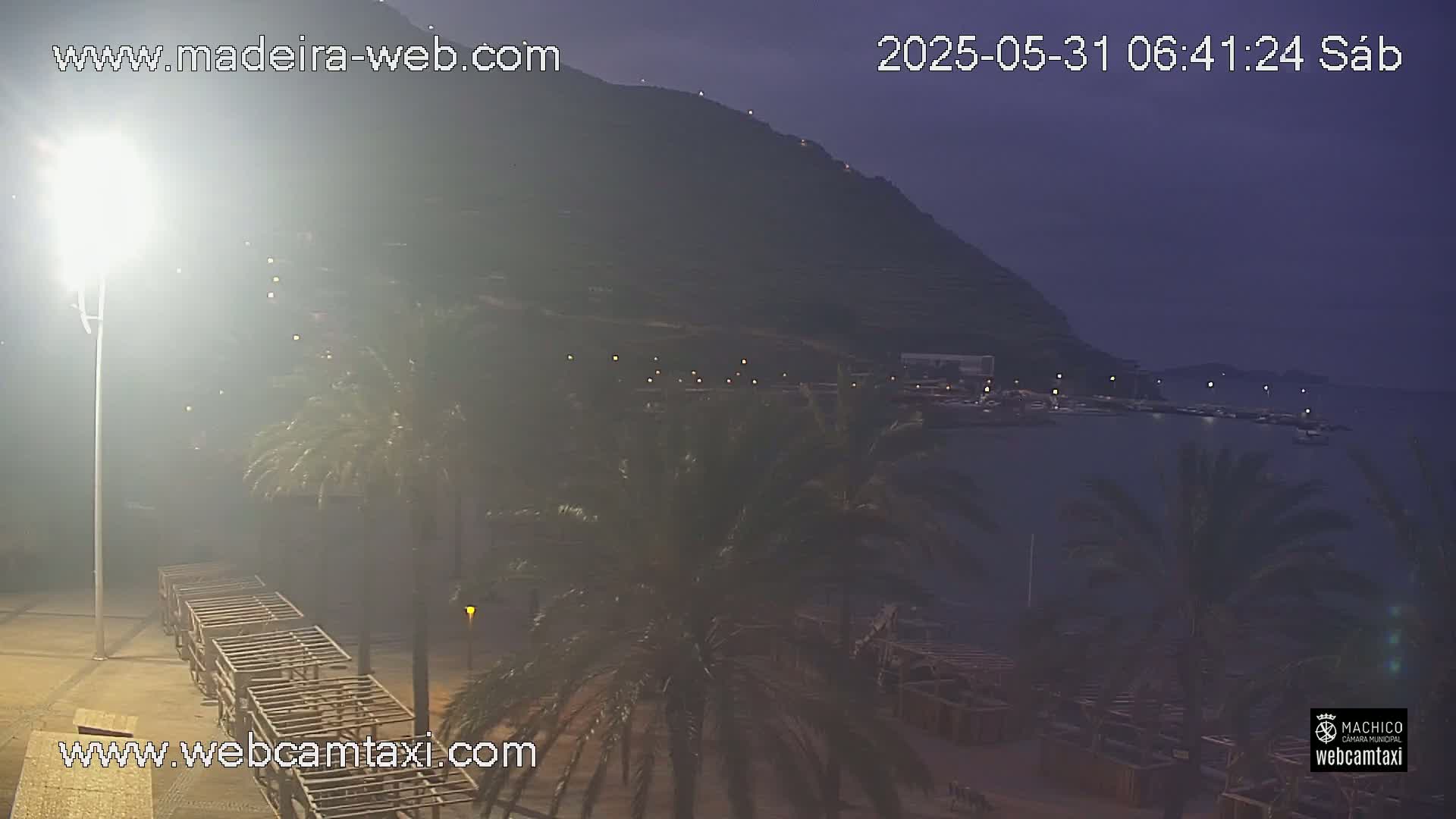A nighttime view of a coastal area with palm trees, a dark hill in the background, and a calm body of water under a dusky sky.