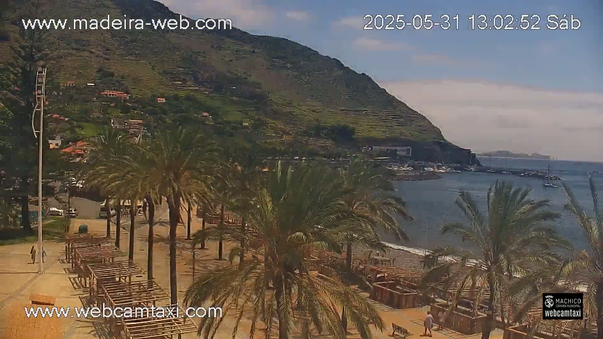 A sunny beach scene shows palm trees lining a sandy shore with a calm body of water, a small harbor with boats, and a hillside town nestled against a large mountain in the background.