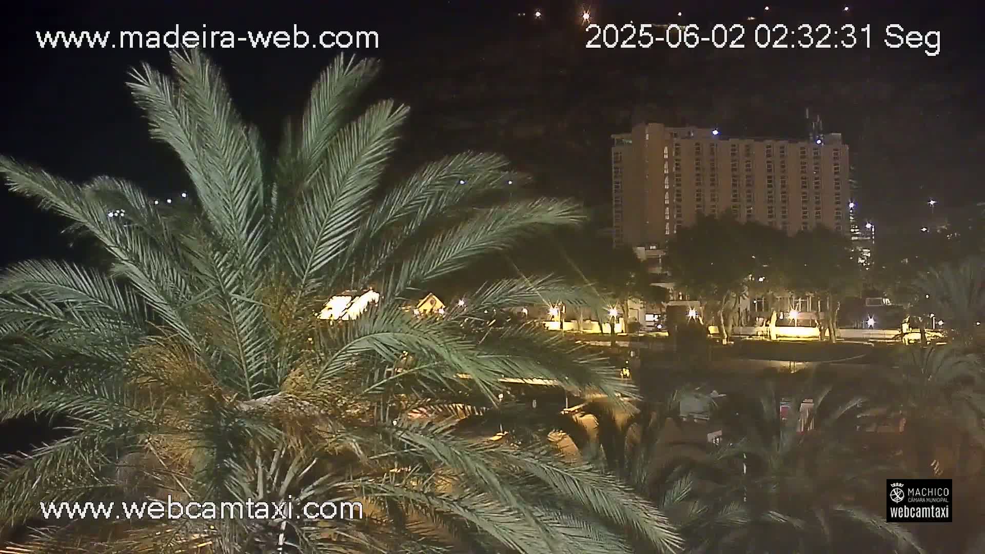 A nighttime view through palm fronds shows a multi-story building and surrounding area with streetlights, all under a clear sky.