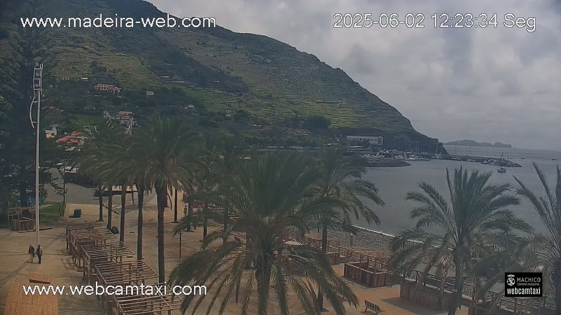 A beach with palm trees and wooden structures overlooks a calm bay, with a hillside rising behind it under a cloudy sky.