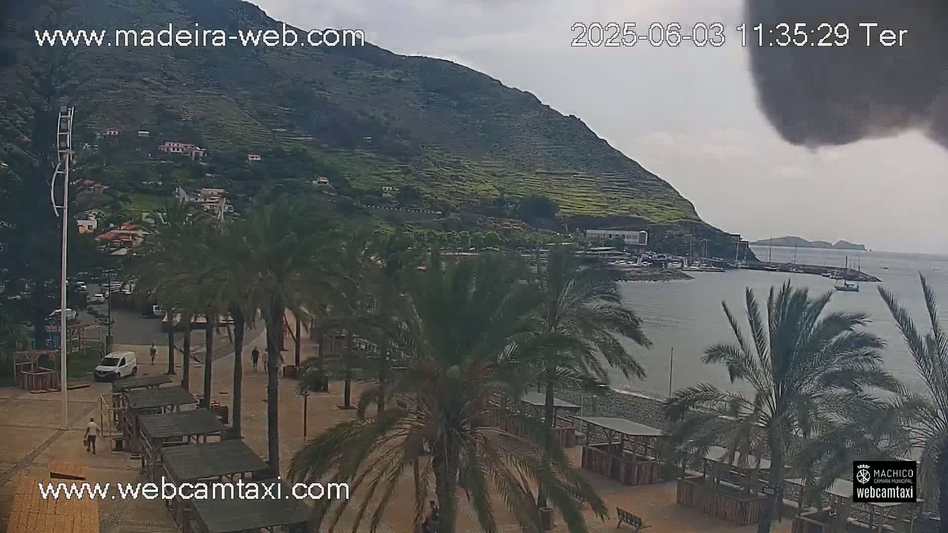 A seaside town nestled below a large, verdant hill under an overcast sky, with palm trees lining a paved walkway leading to a calm, grey ocean.
