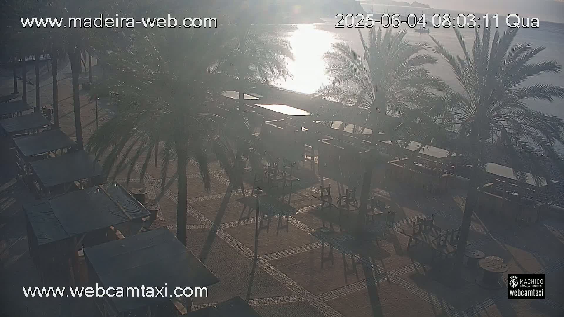 A hazy sunrise illuminates an outdoor patio area with palm trees and empty tables near a calm body of water.