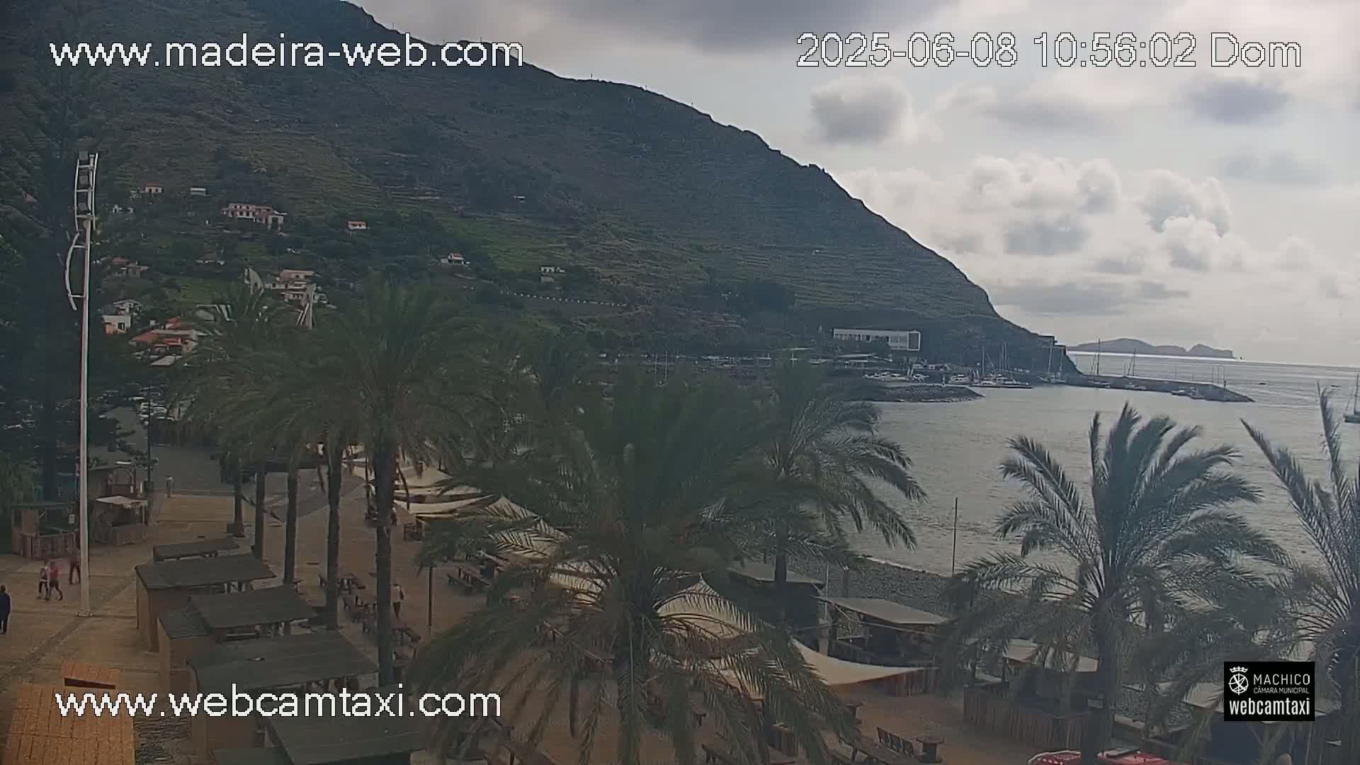 A coastal town with palm trees, a pebble beach, a calm harbor with boats, and a large mountain under a mostly cloudy sky.