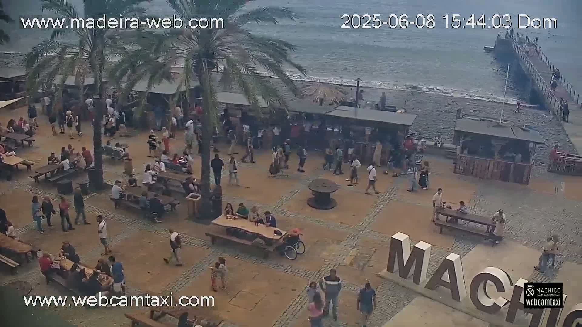 A paved outdoor plaza with numerous people seated at picnic tables under palm trees, near a calm ocean and pier, on an overcast day.