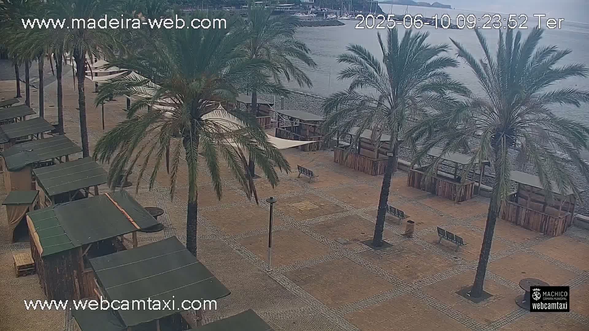A paved waterfront plaza with several wooden stalls and palm trees, overlooking a calm body of water under an overcast sky.