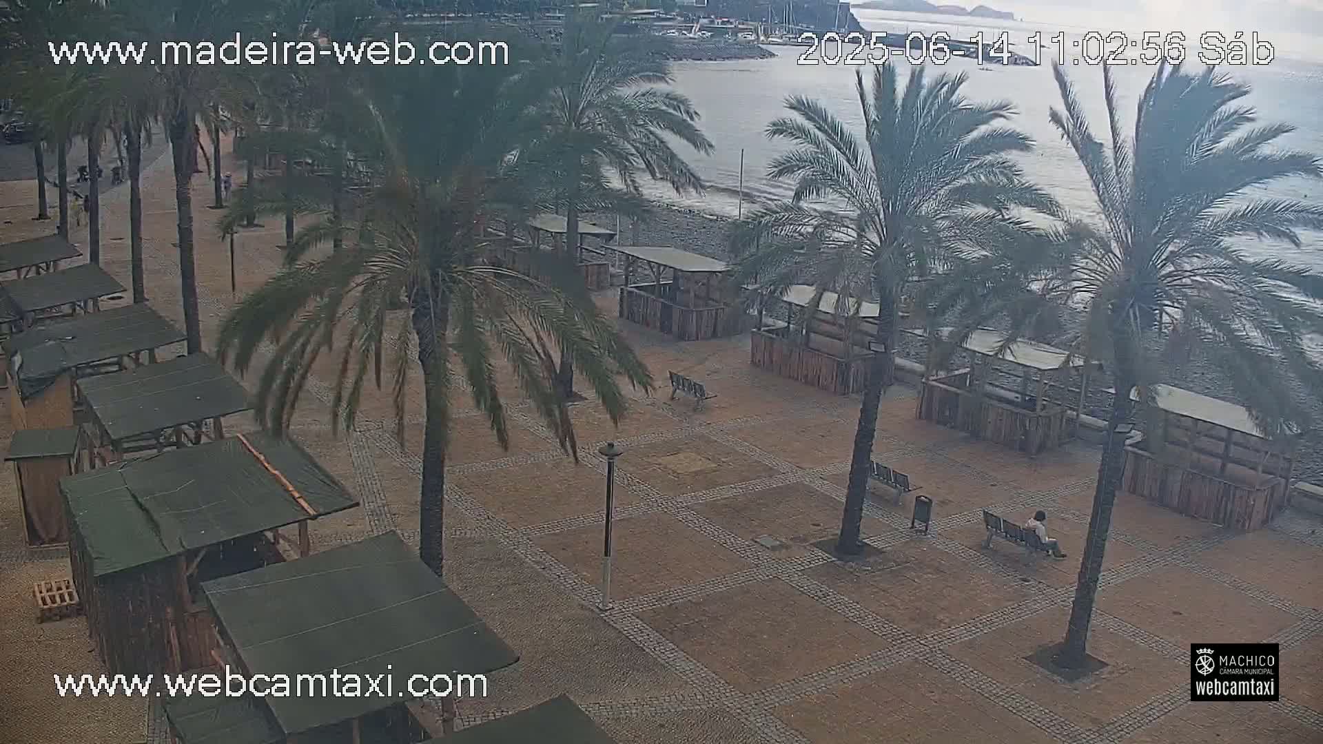 A paved beachfront area with palm trees and several closed wooden stalls is visible, overlooking a calm ocean under an overcast sky.