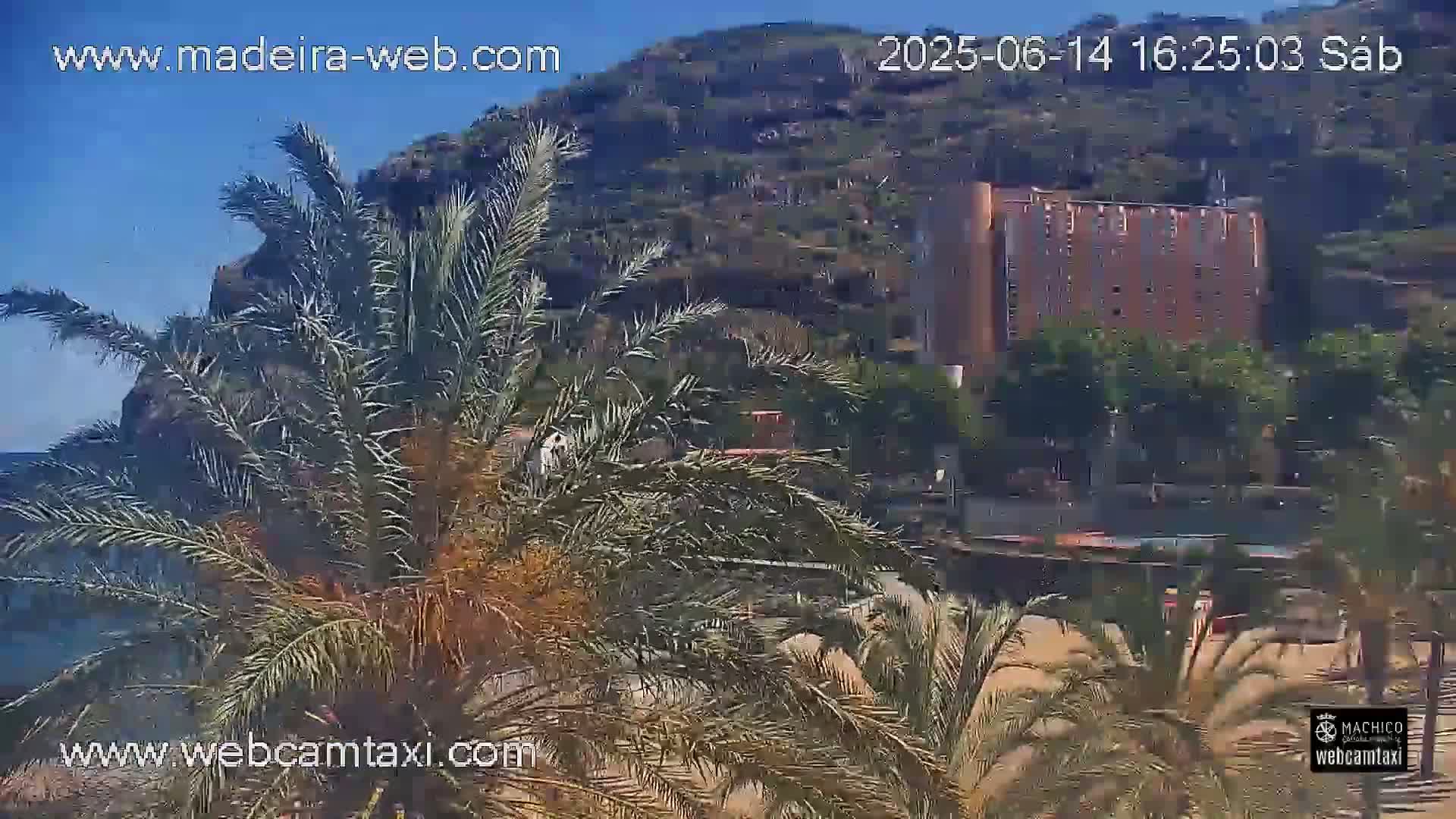 A view of a beachside area with palm trees in the foreground, a large building, and a hill overlooking the ocean on a sunny day.