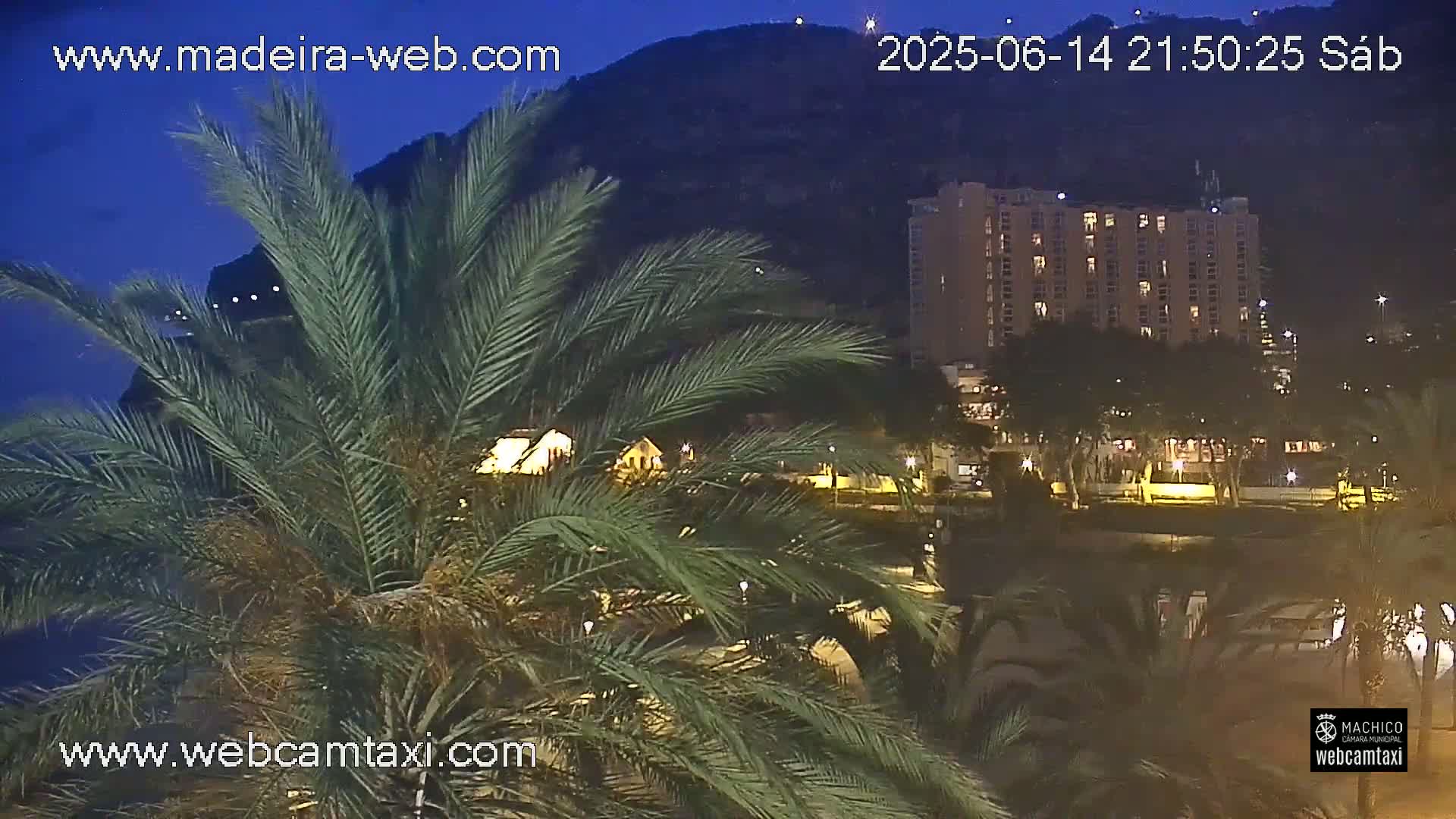 A view of a beachside area with palm trees in the foreground, a large building, and a hill overlooking the ocean on a sunny day.