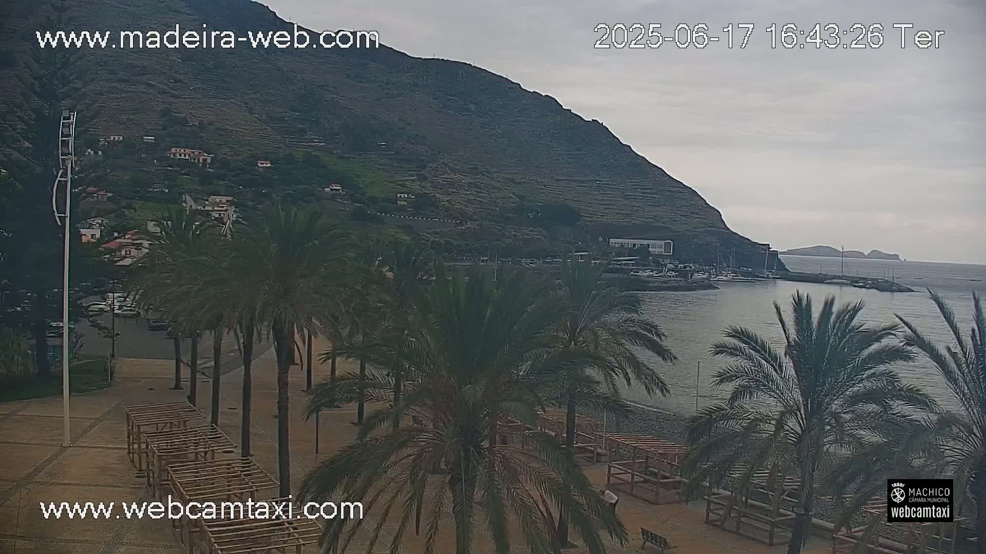 A seaside town nestled beneath a large hill on an overcast day, palm trees lining a paved area near a calm ocean with boats in a harbor.