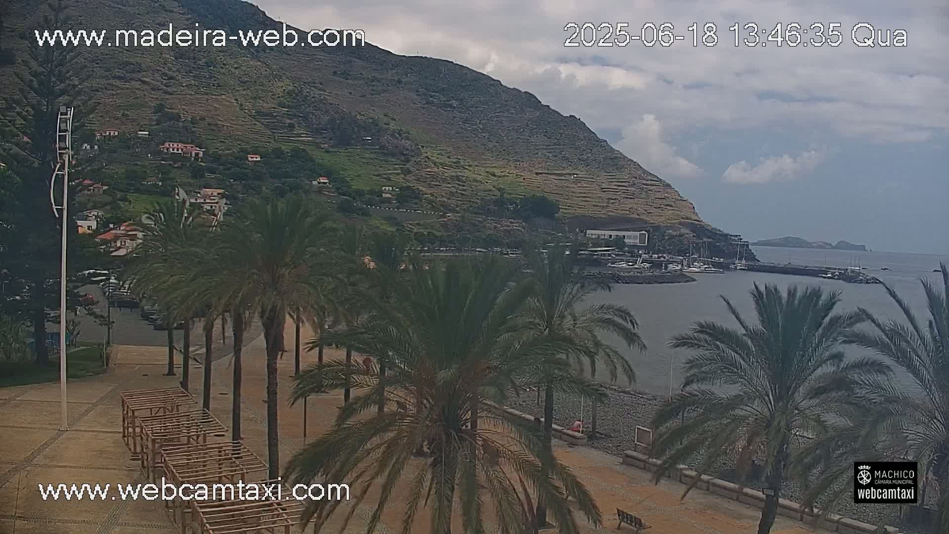 A mostly cloudy day reveals a harbor filled with boats nestled below a hillside town, lined with palm trees and a paved walkway.