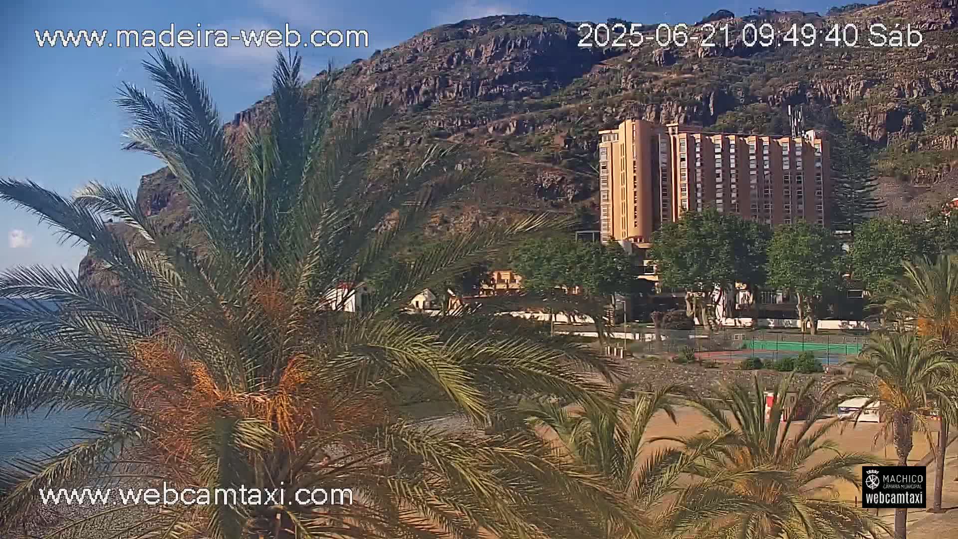 A large building is situated near a beach, partially obscured by palm trees under a mostly clear sky.