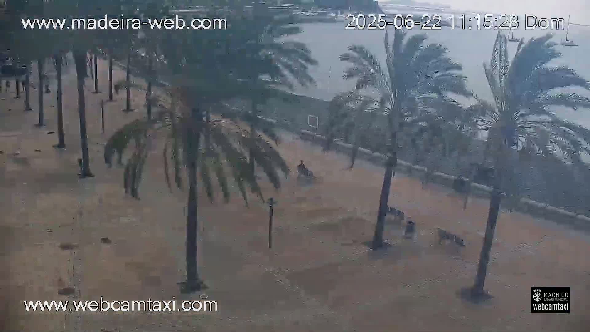 A flooded palm-tree lined walkway shows a person on a scooter and several other people walking through shallow floodwaters under a cloudy sky.