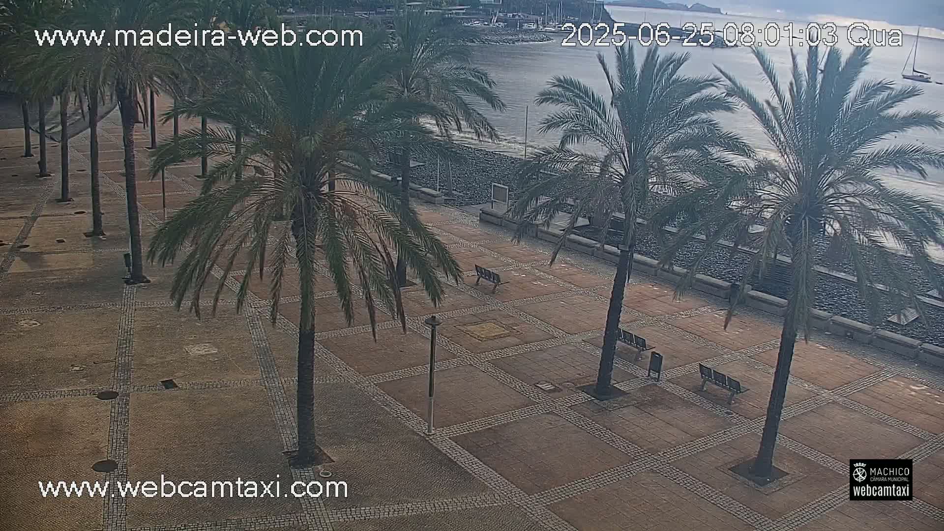 A paved plaza with several palm trees overlooks a calm ocean under a partly cloudy sky.