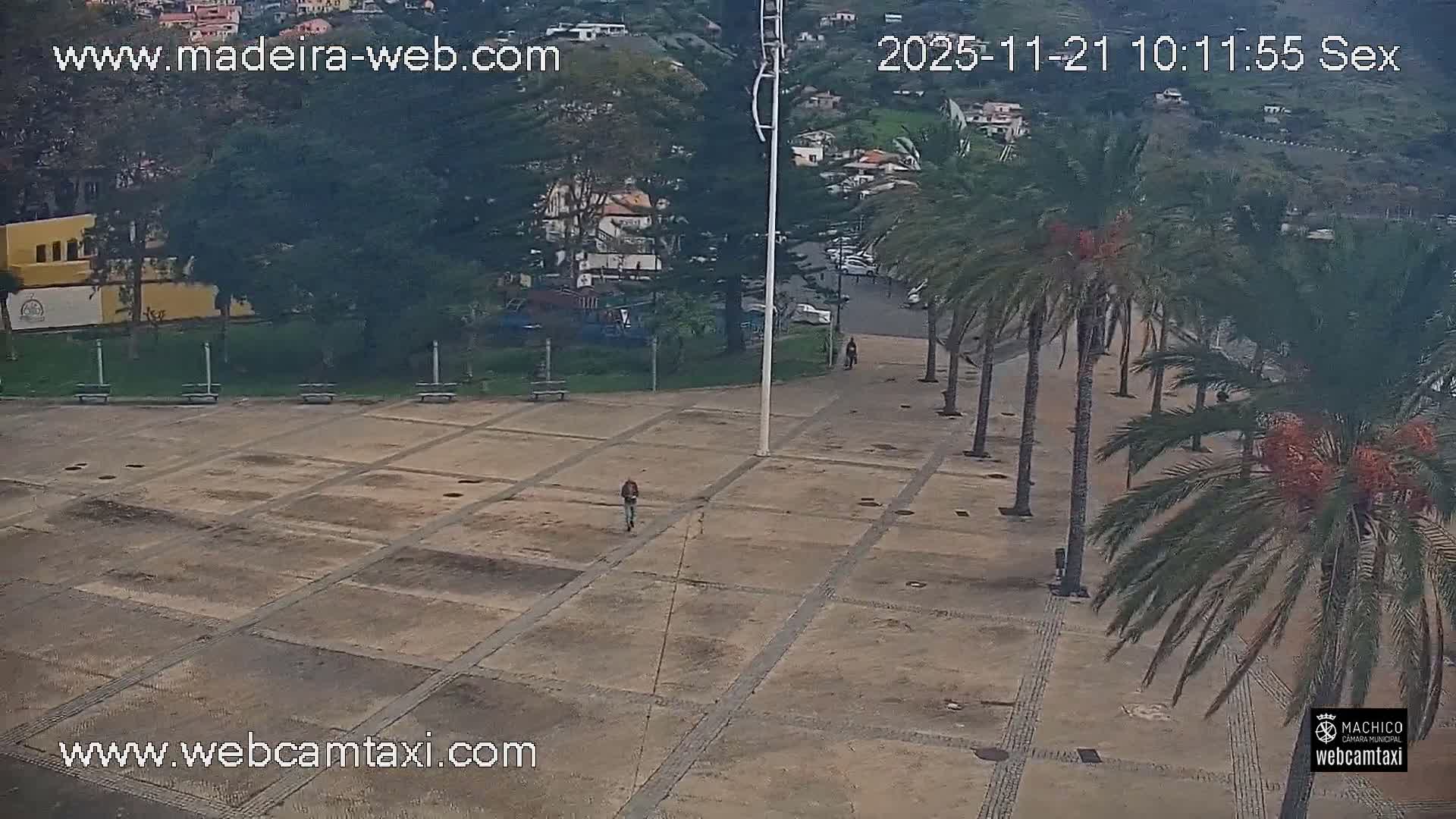 A spacious paved plaza, partially occupied by two pedestrians, stretches towards a row of palm trees laden with orange dates, backed by distant buildings nestled in green hills under fair daylight conditions.