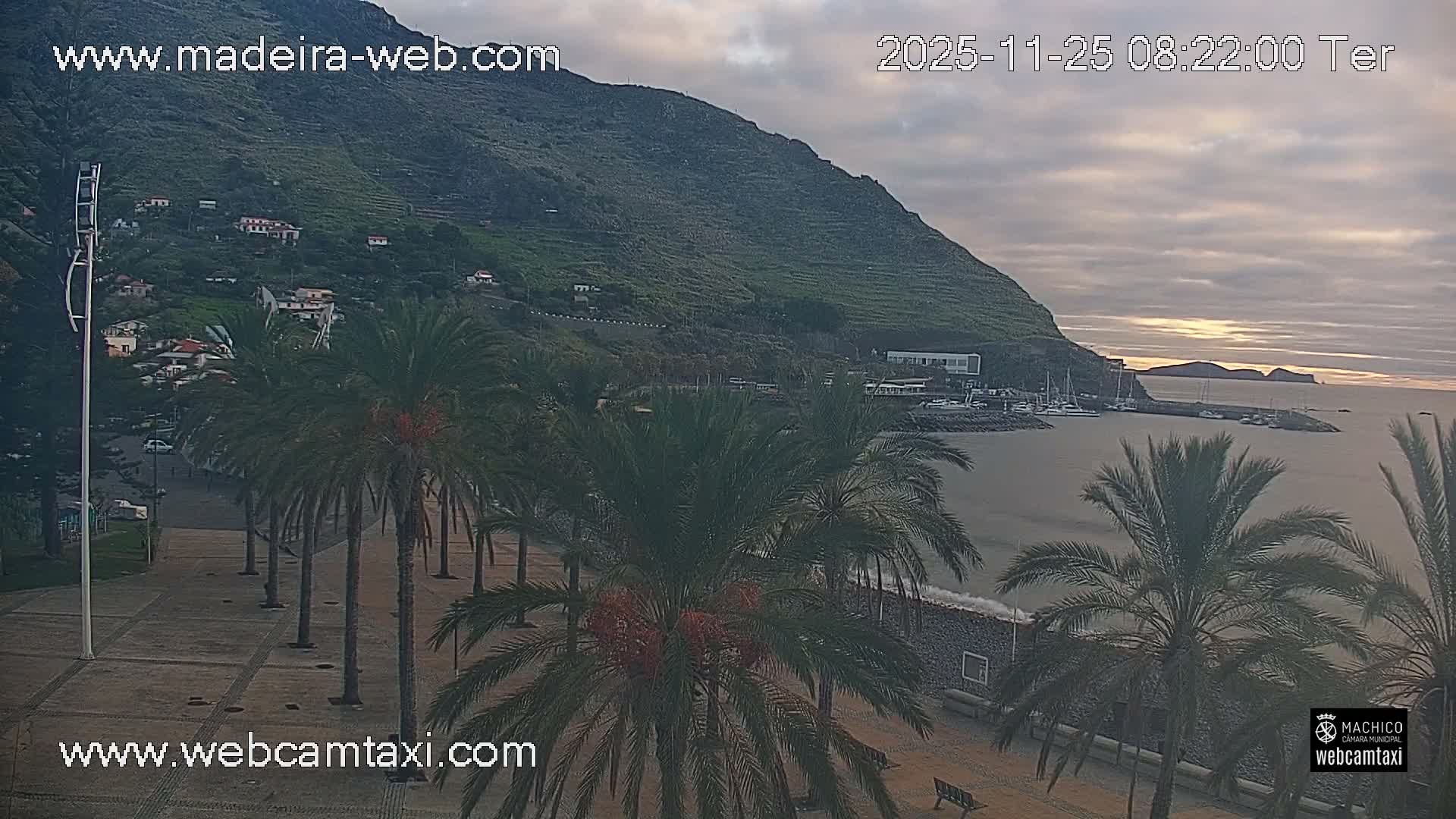 A cloudy morning view of a coastal town featuring a palm-lined promenade, a harbor filled with boats, a green mountain rising behind it, and distant islands under an overcast sky.