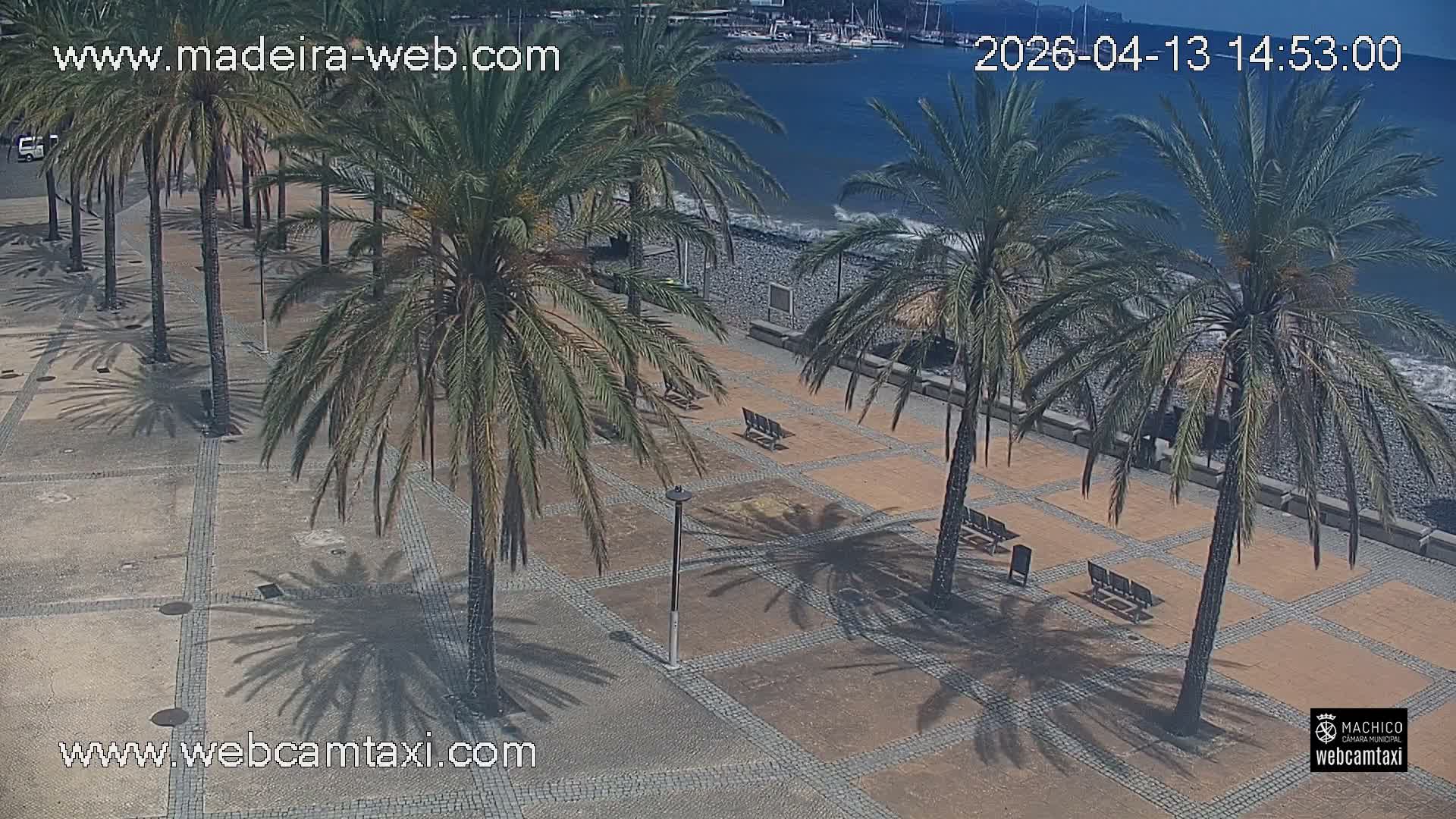 A bright but slightly hazy outdoor scene reveals a paved promenade with palm trees and a bench alongside calm water, featuring a pier with a few people on it.