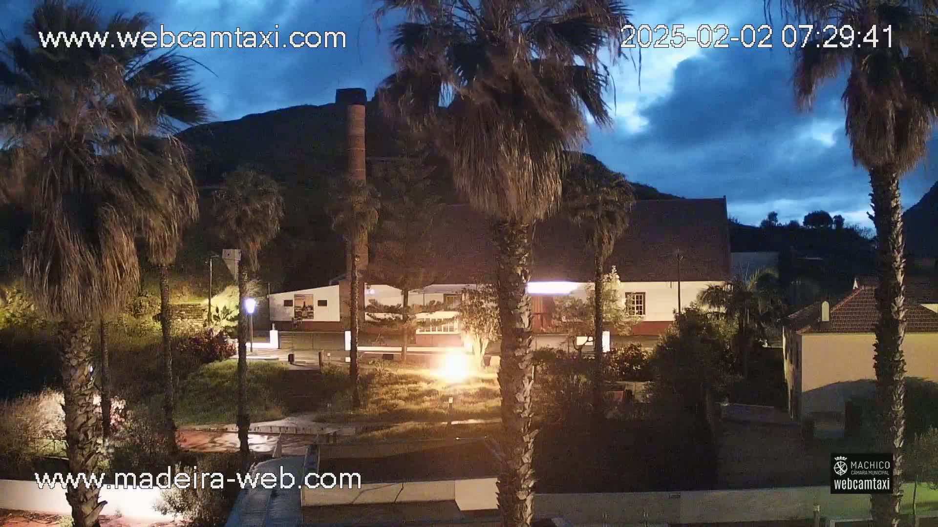 A nighttime view of palm trees, buildings, and hills under a partly cloudy, dark blue sky.