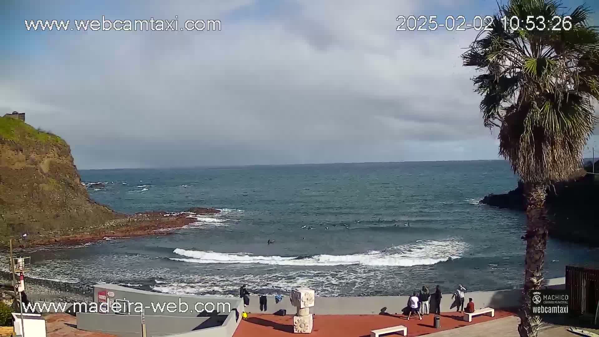A coastal scene shows a partly cloudy sky over a calm ocean with small waves breaking near a rocky shoreline, where several people are gathered on a paved area next to a palm tree.