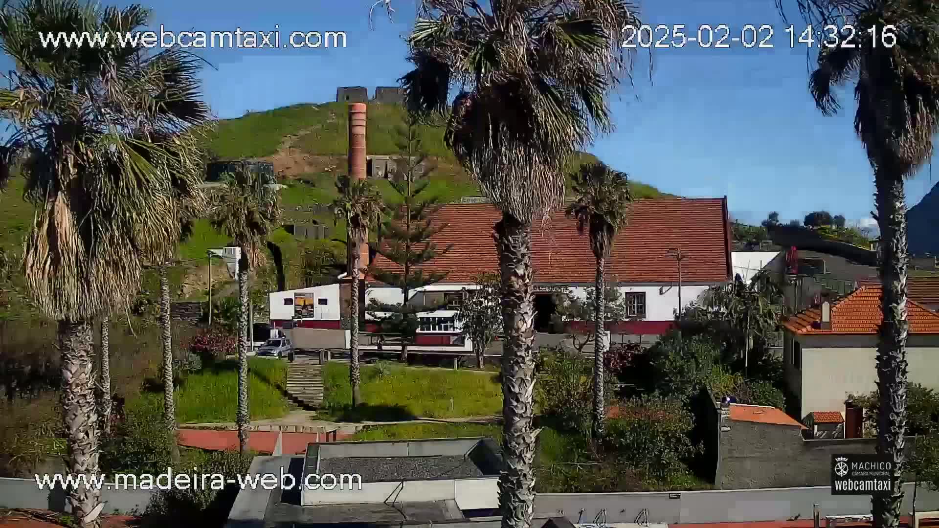 Palm trees surround buildings and a hillside under a sunny sky.