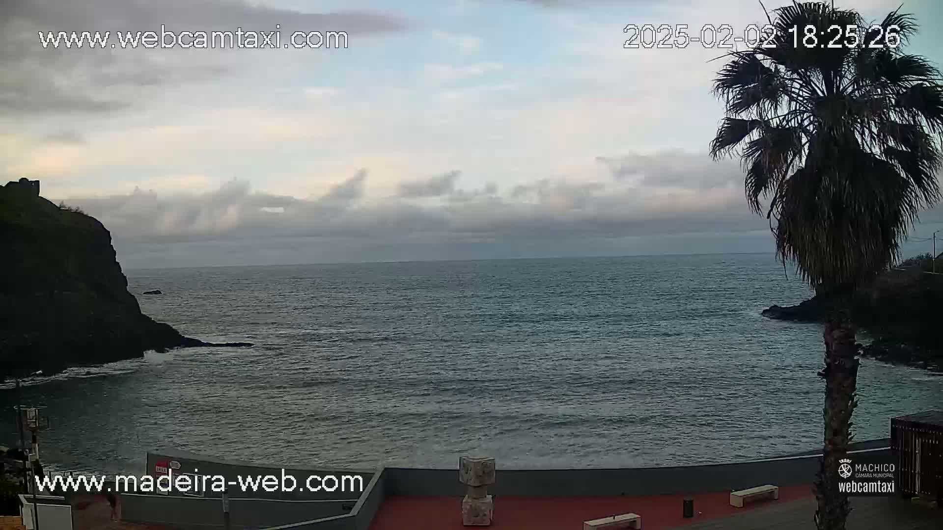 A partly cloudy twilight sky overlooks a calm ocean bay next to a rocky cliff, with a palm tree in the foreground.