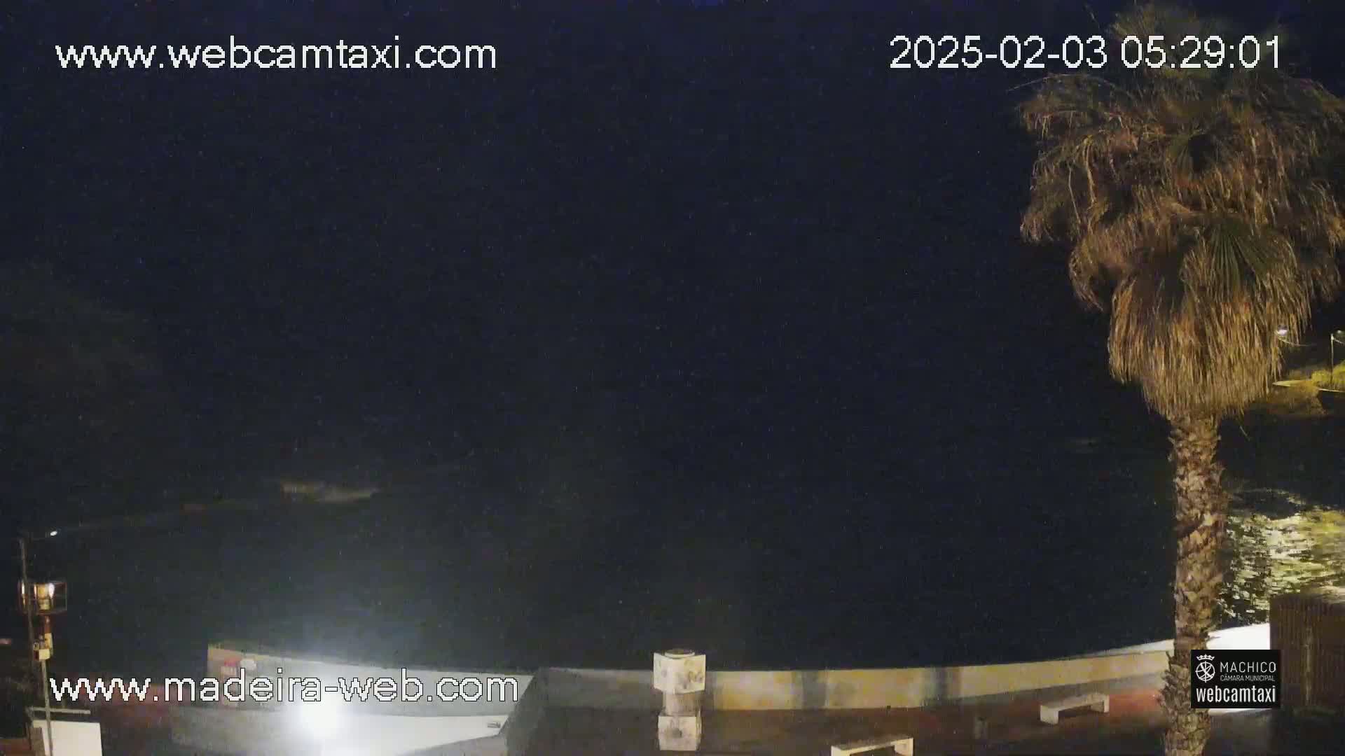 A nighttime view of a dark ocean, a palm tree, and a low wall.